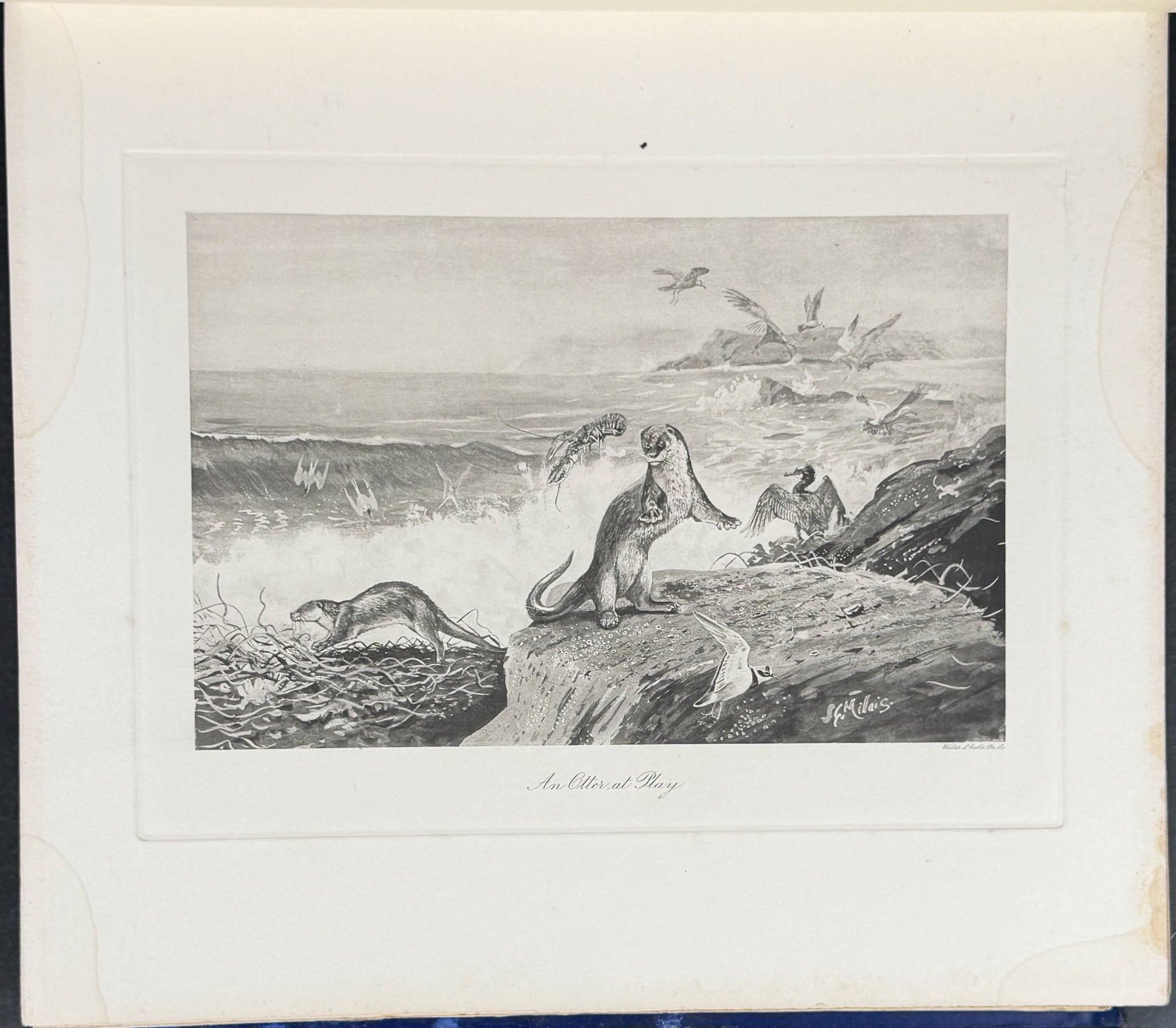 Millais' The Mammals of Great Britain and Ireland - Three Volumes with 273 Plates