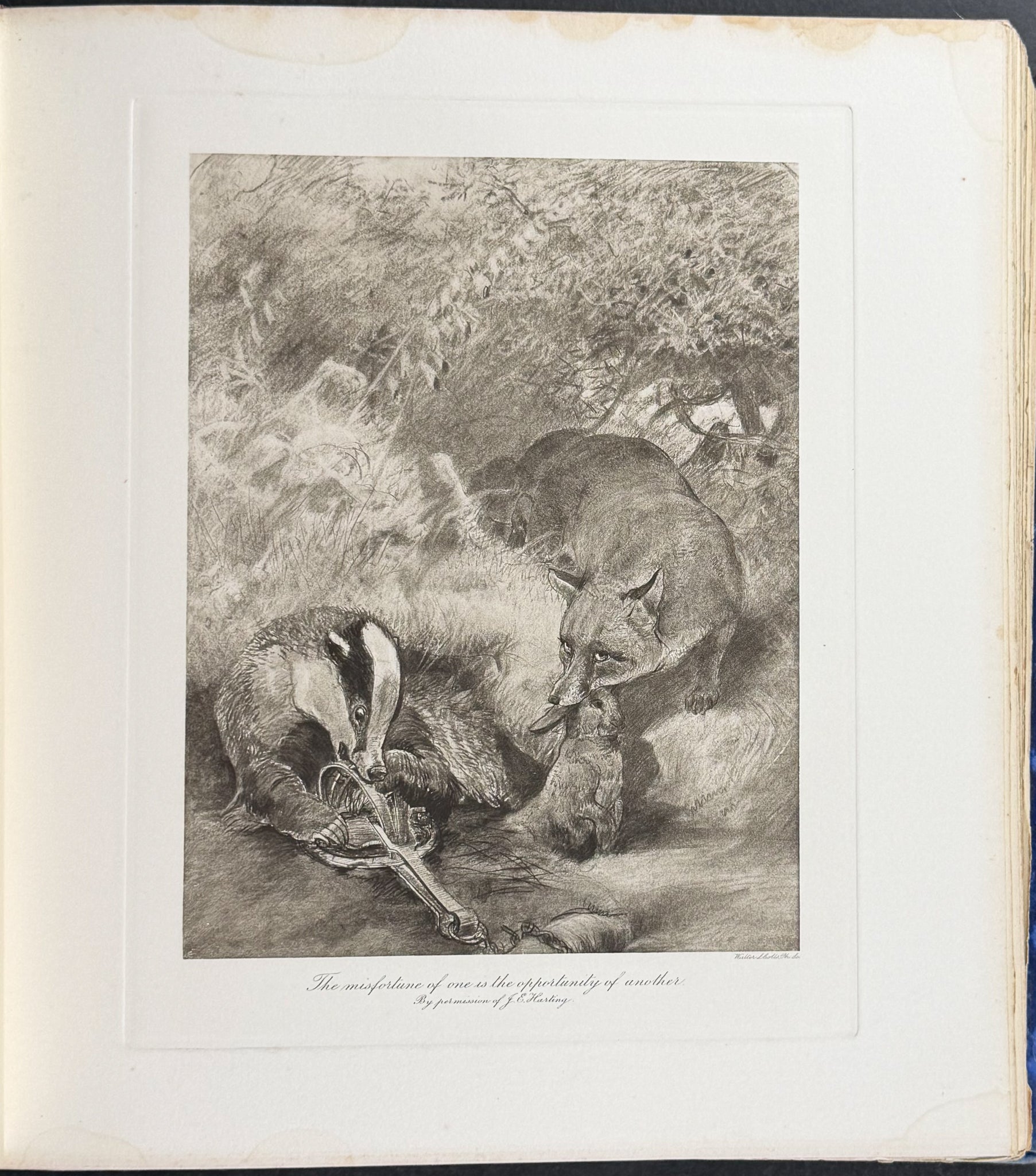 Millais' The Mammals of Great Britain and Ireland - Three Volumes with 273 Plates