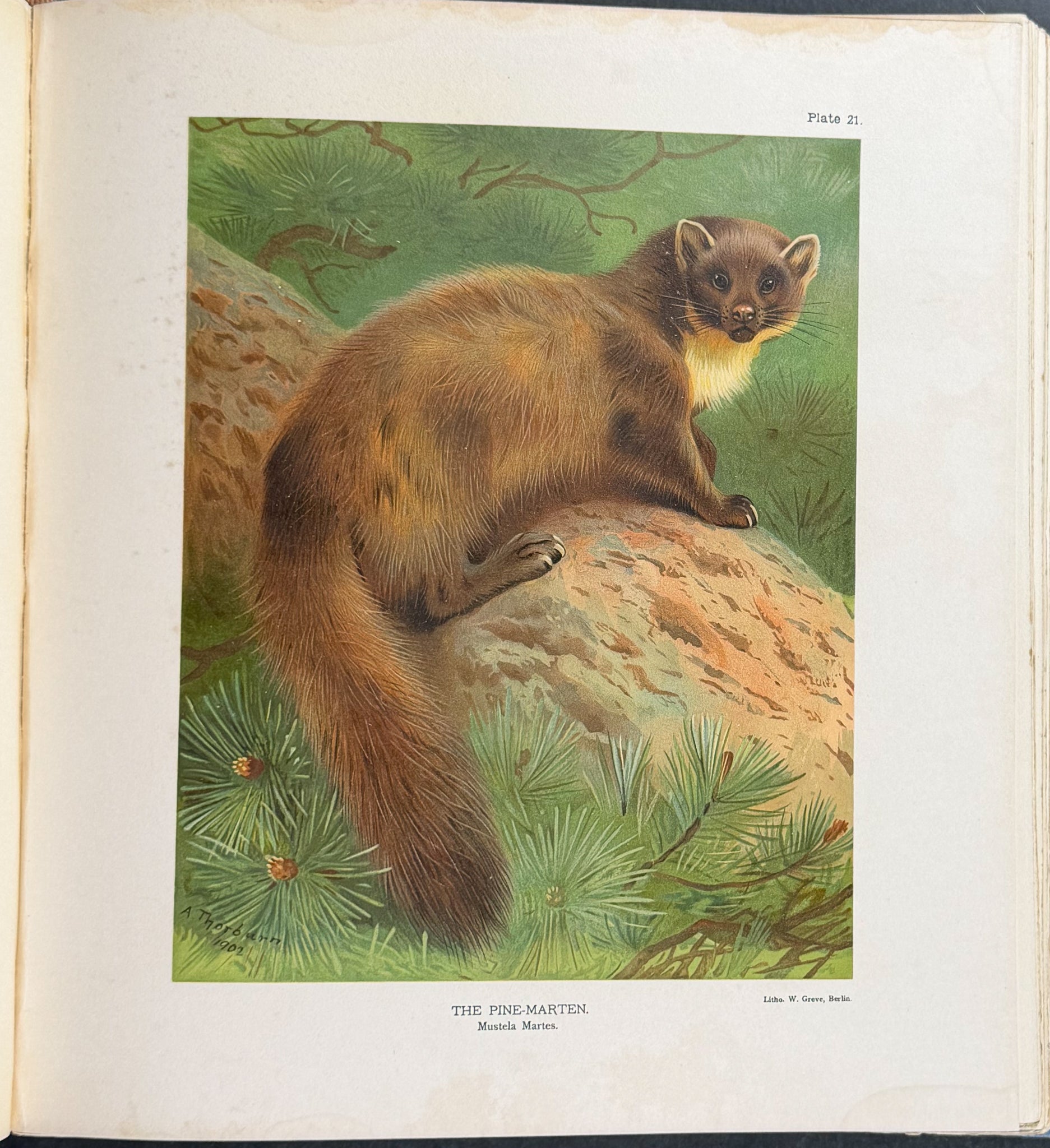 Millais' The Mammals of Great Britain and Ireland - Three Volumes with 273 Plates