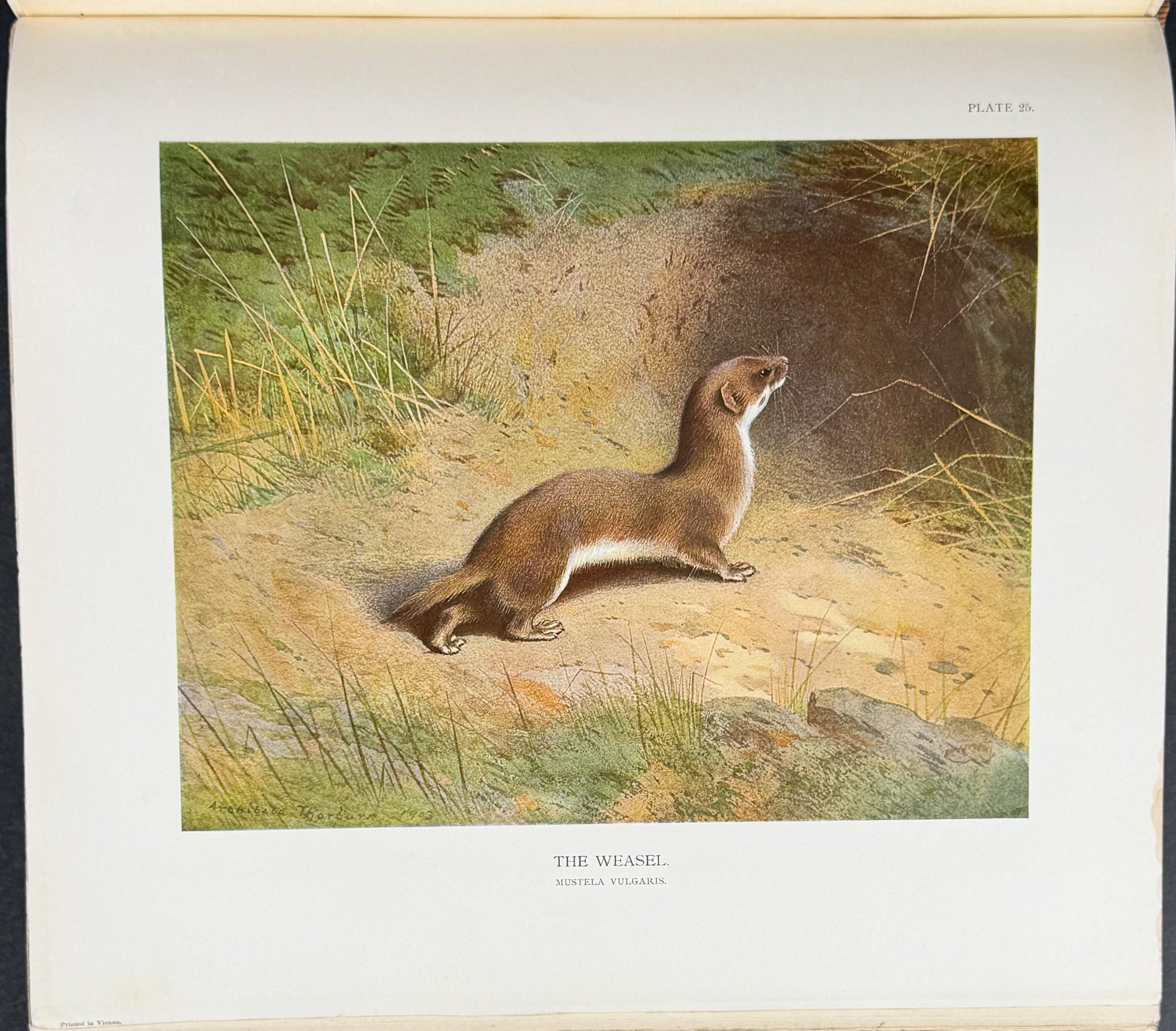 Millais' The Mammals of Great Britain and Ireland - Three Volumes with 273 Plates