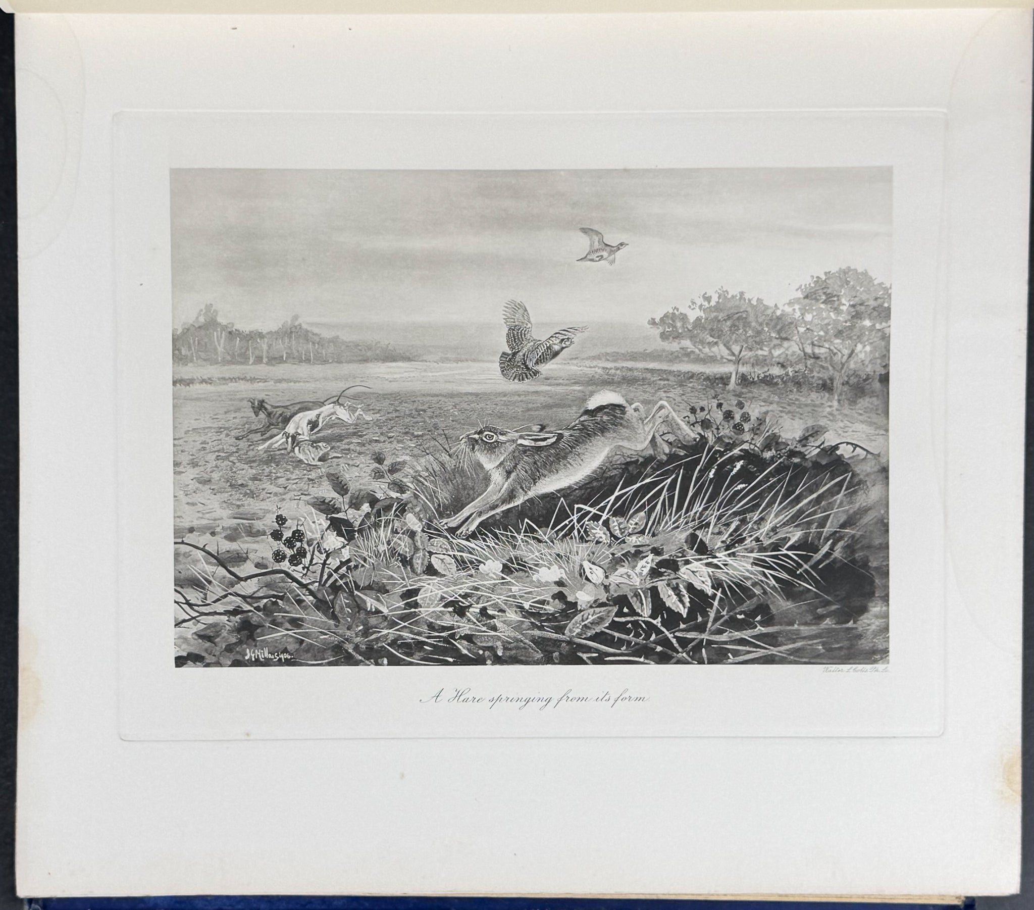 Millais' The Mammals of Great Britain and Ireland - Three Volumes with 273 Plates