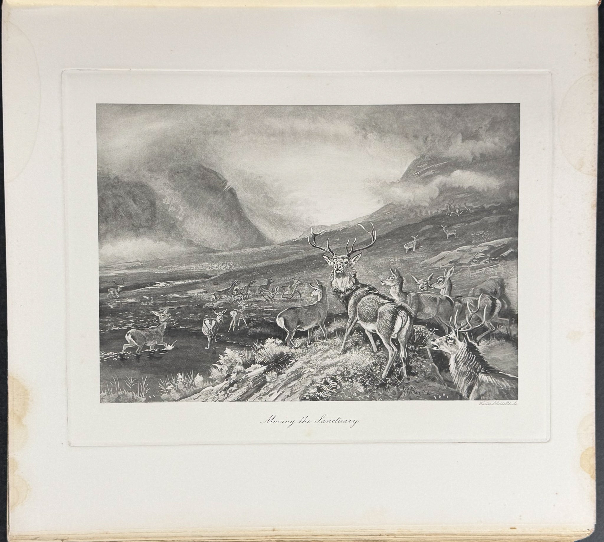 Millais' The Mammals of Great Britain and Ireland - Three Volumes with 273 Plates
