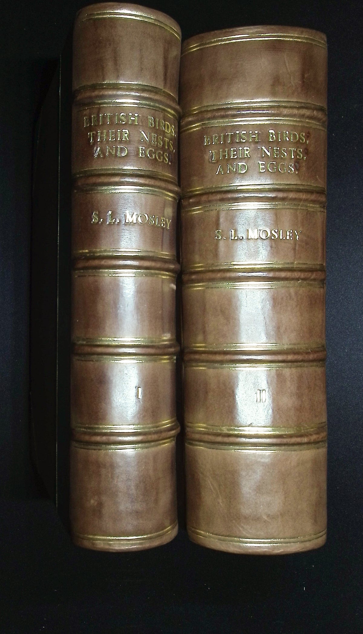 Mosley's A History of British Birds