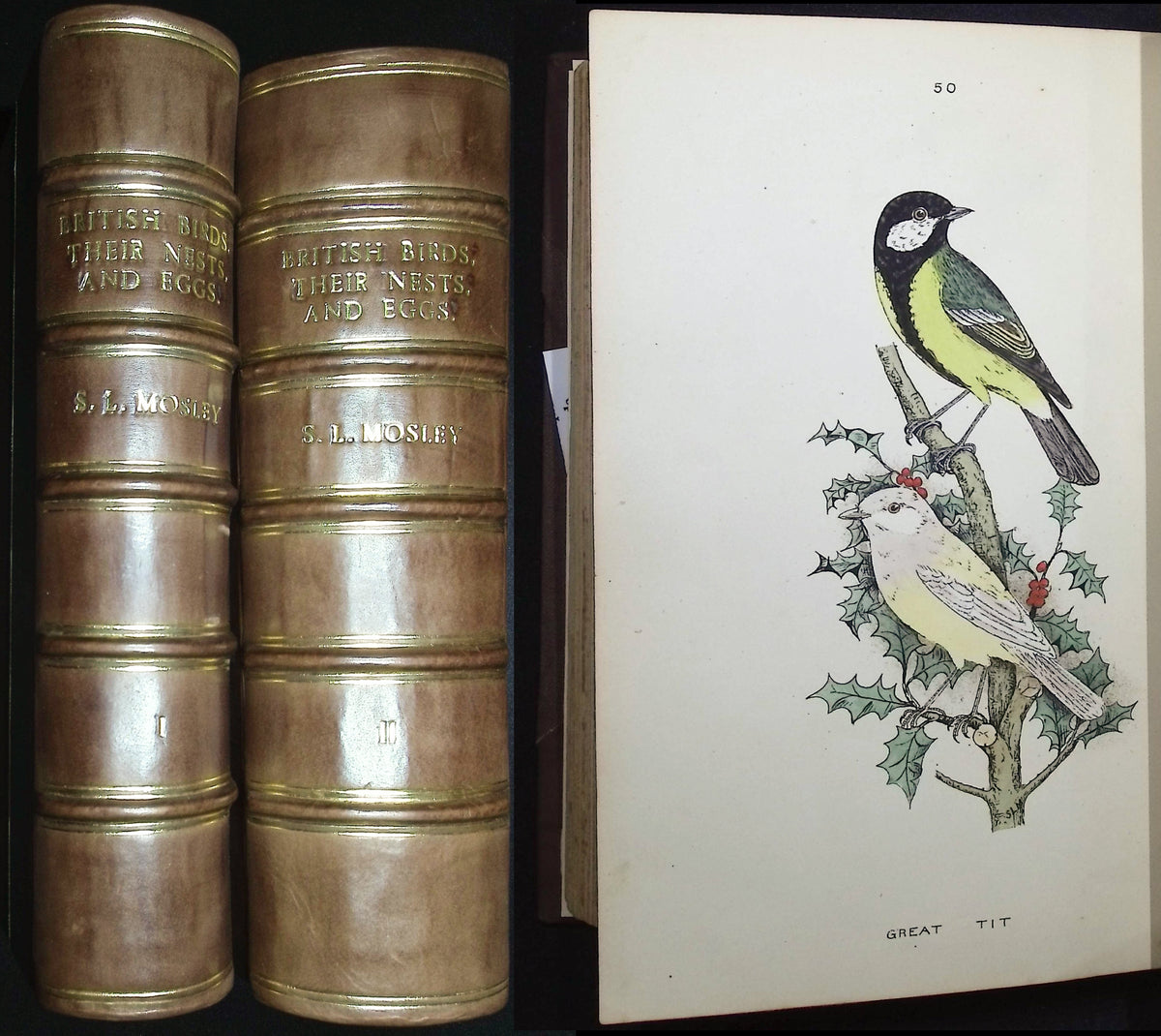 Mosley's A History of British Birds