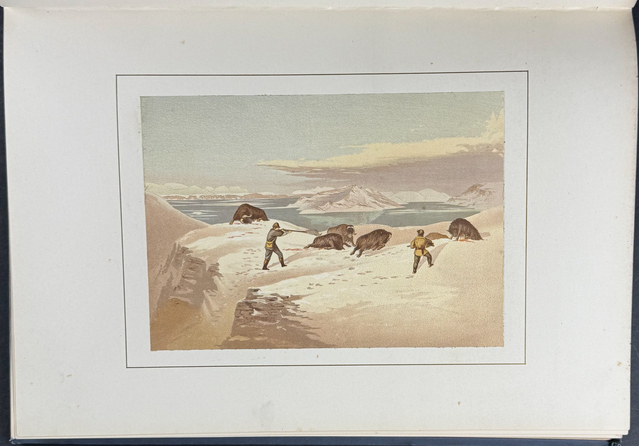 Moss's Shores of the Polar Sea - Volume with Map & 16 Mounted Plates