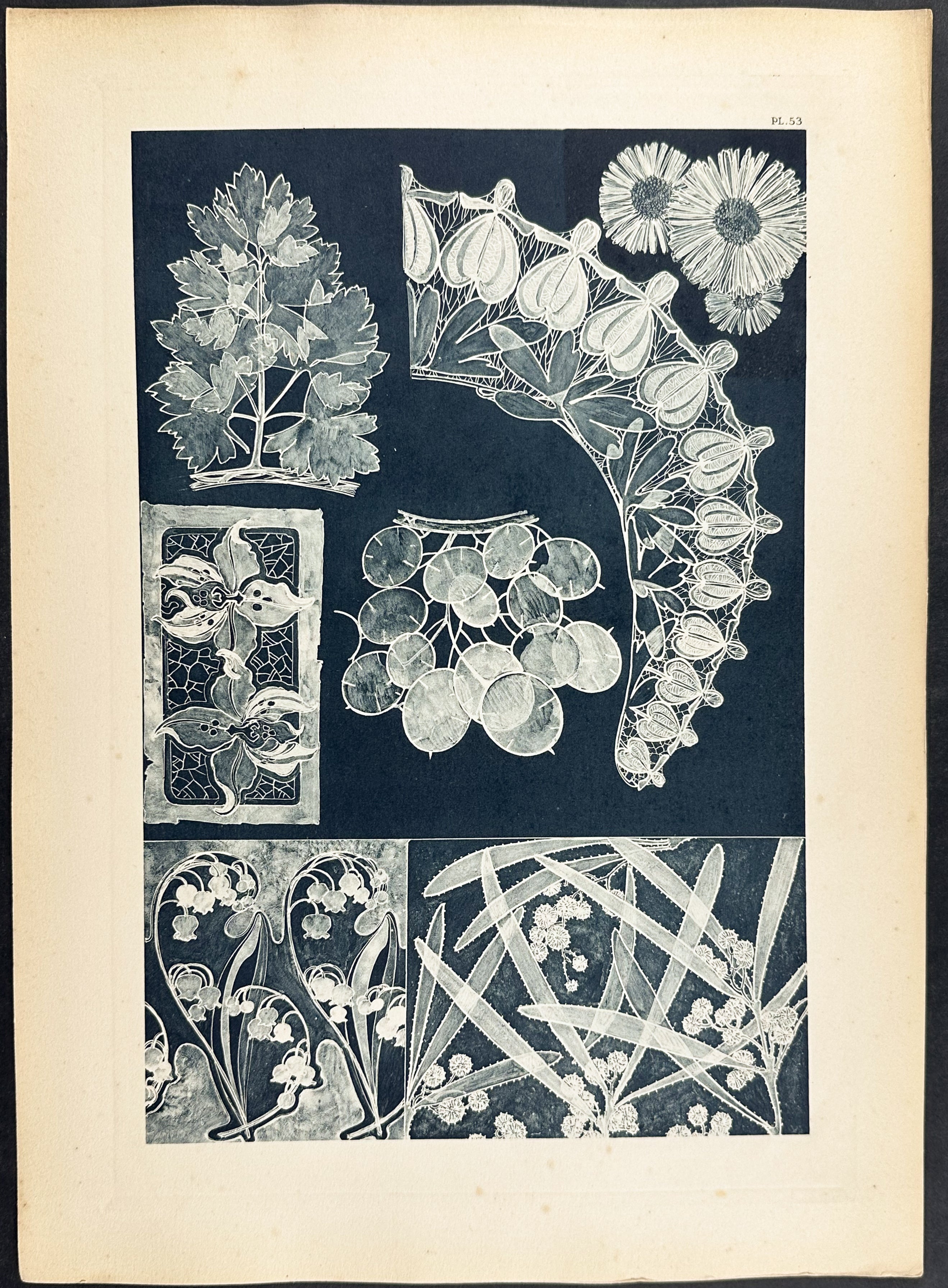Floral Design or Motif