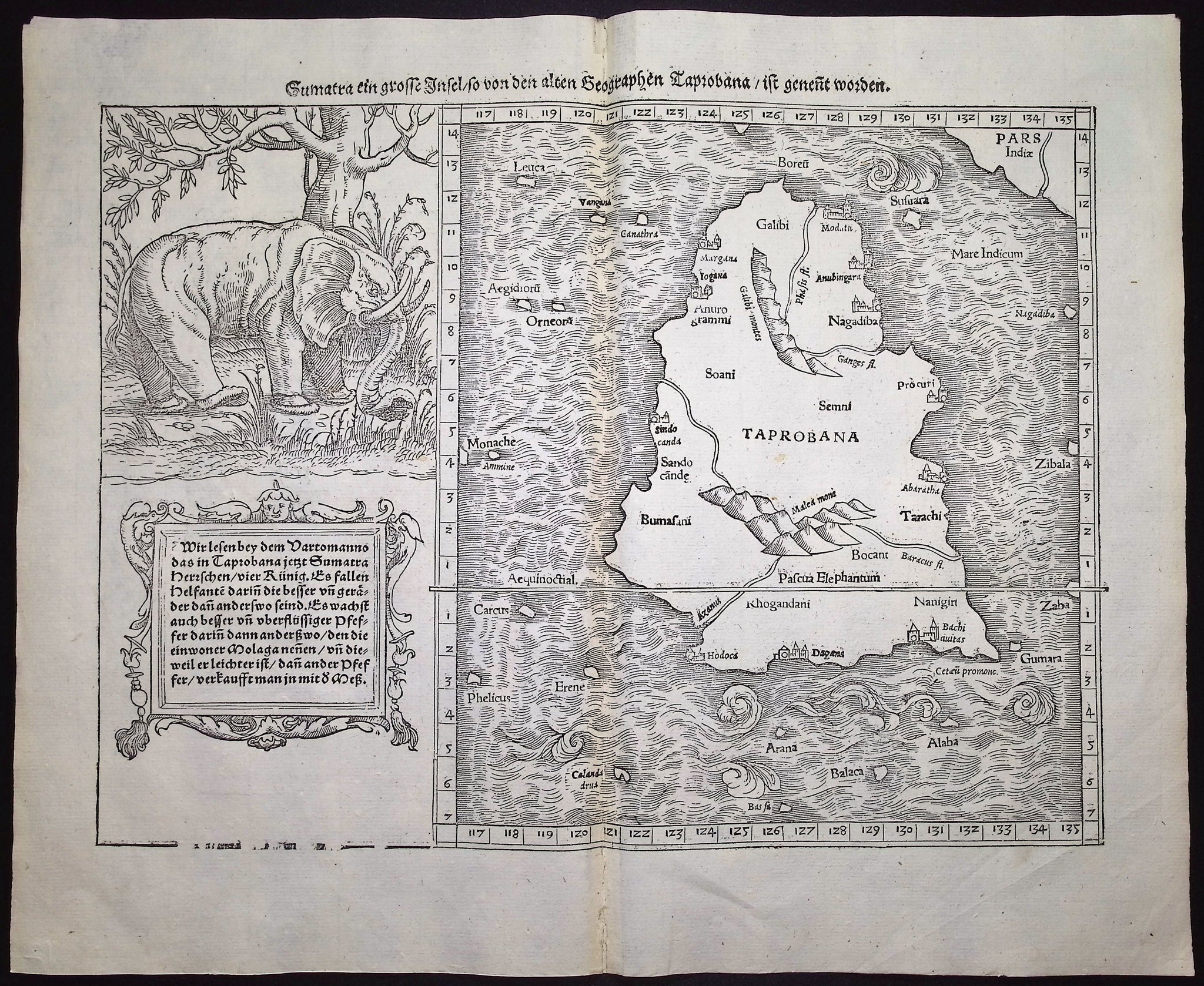 Map of Taprobana, Island in Sumatra, with inset of Elephant