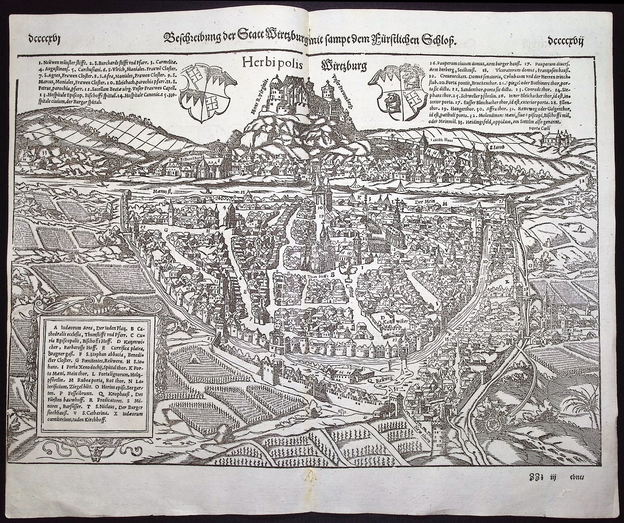 View of Wurzburg, Germany