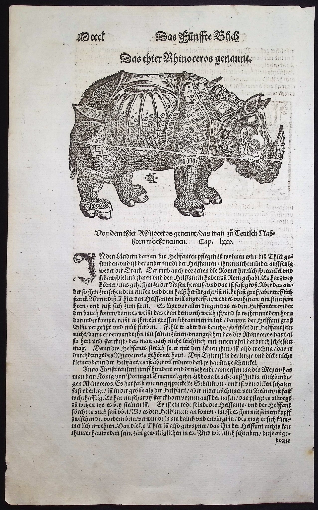Rhinoceros after Albrecht Durer / Verso: Elephant