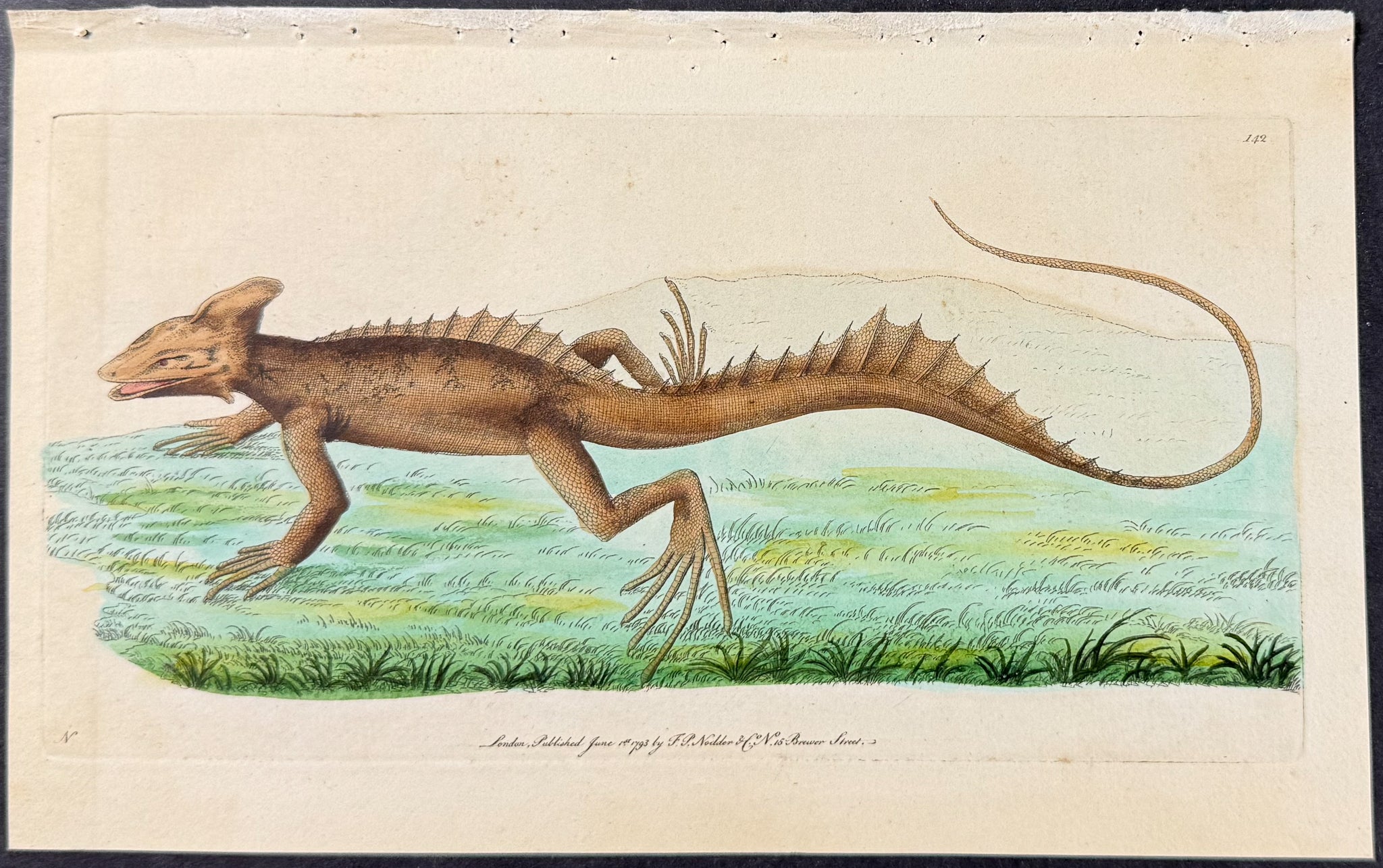 Basilisk