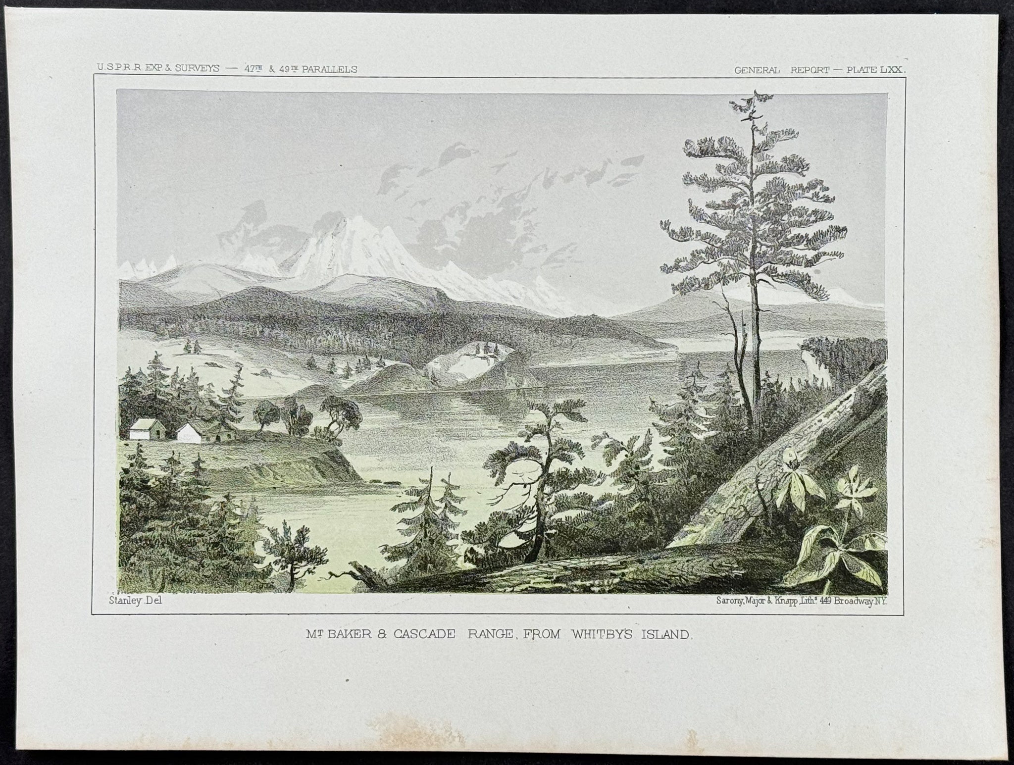 Mt. Baker & Cascade Range, from Whitby's Island