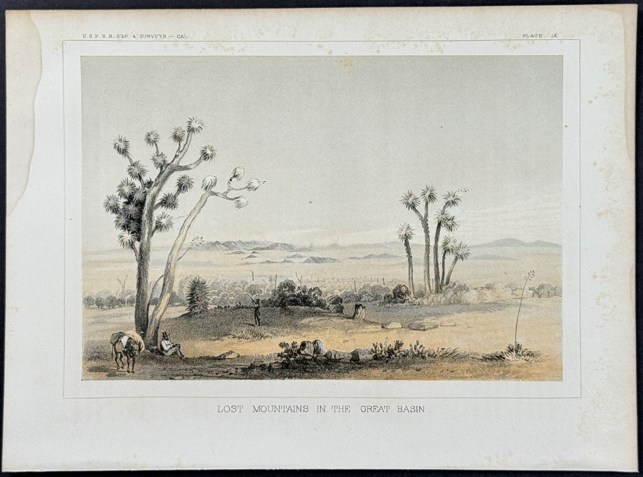Lost Mountains in the Great Basin