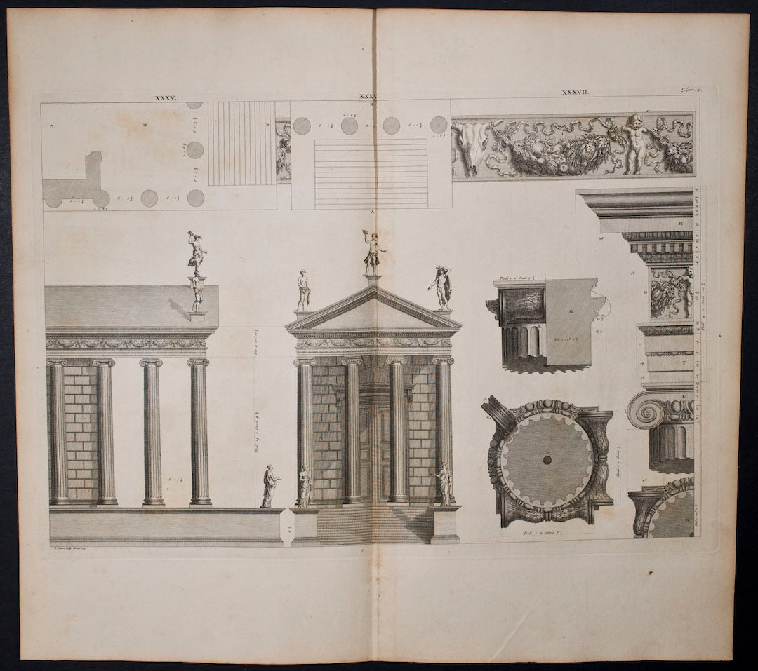 Building & Columns & Plan