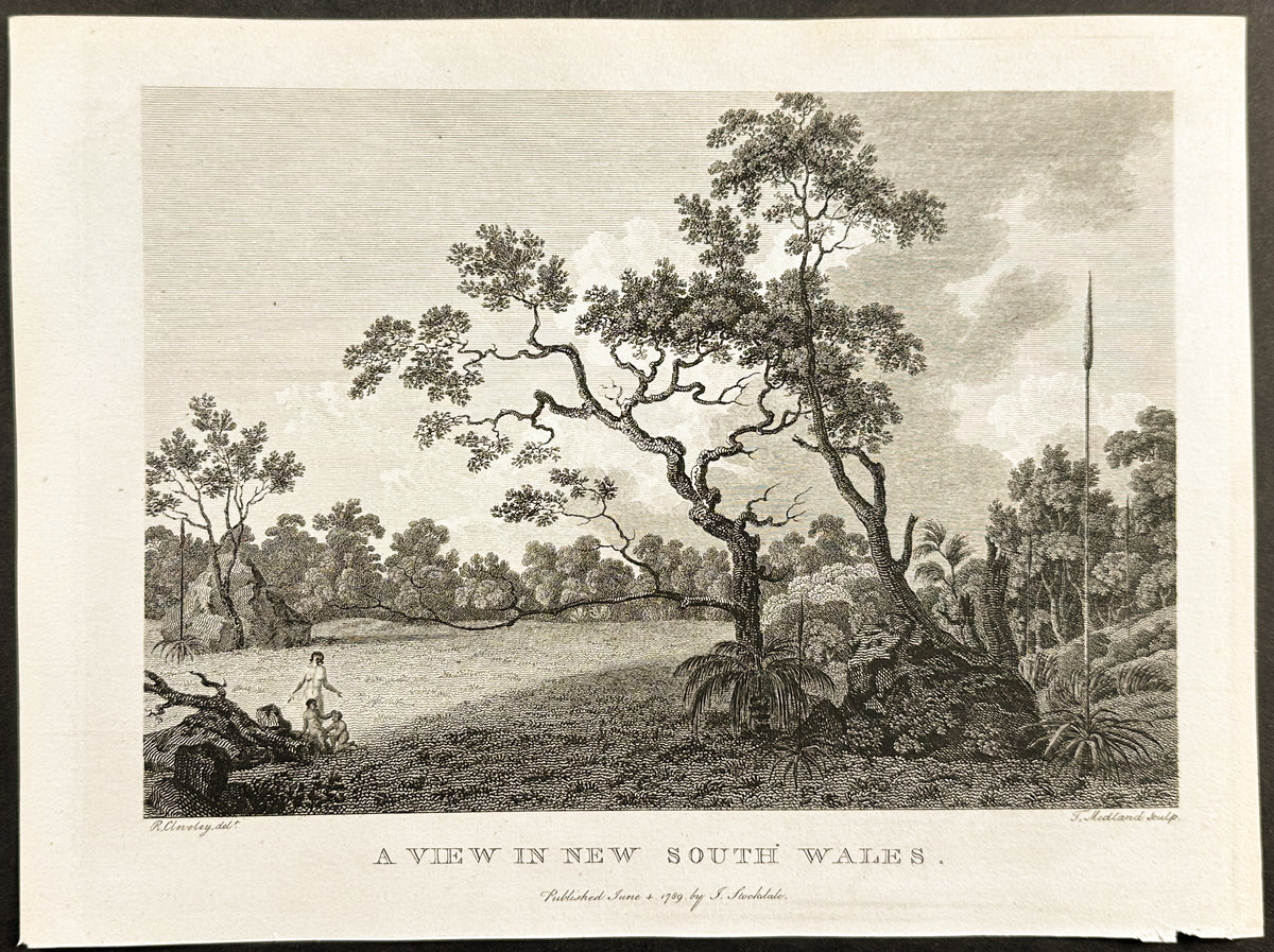 A View in New South Wales