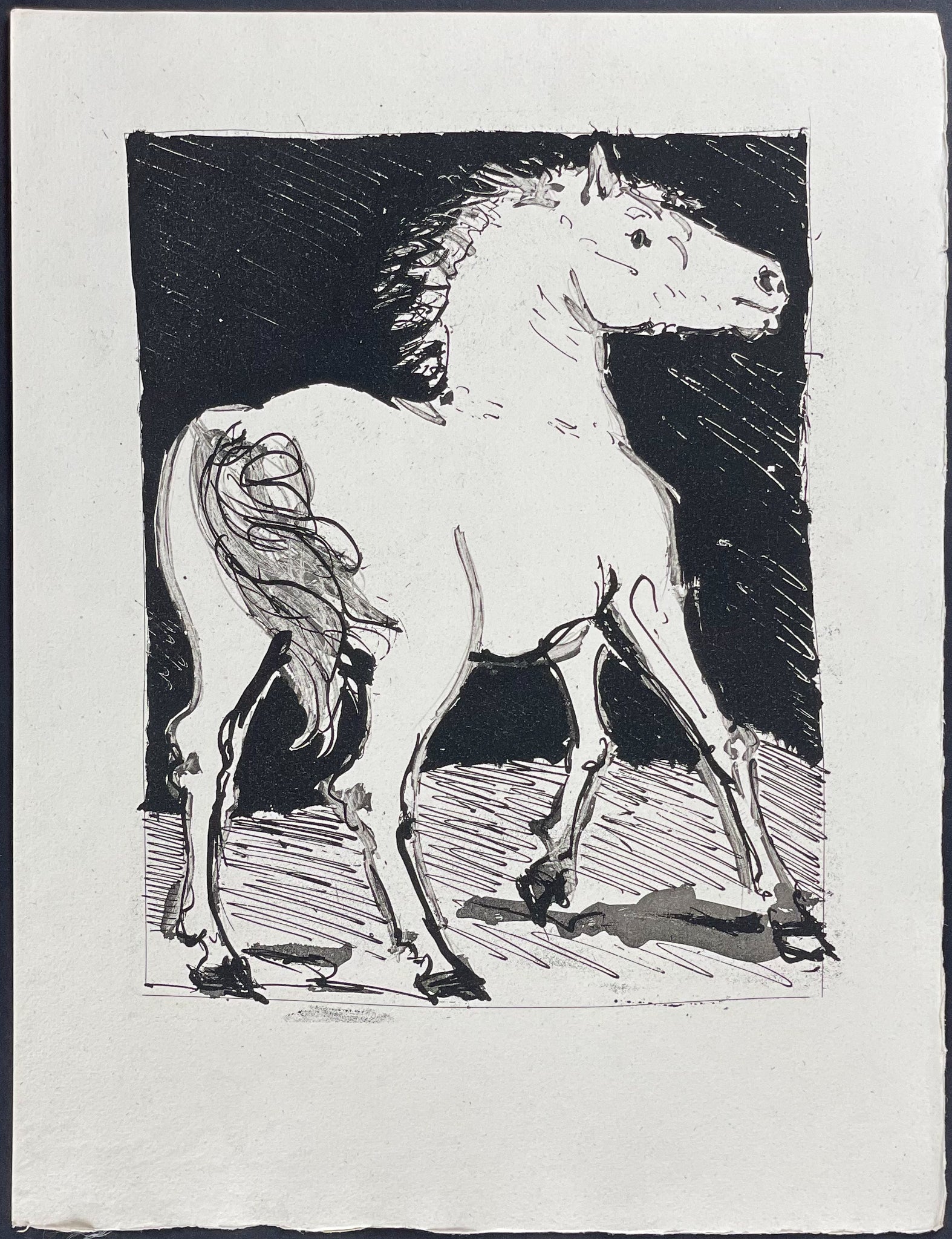 Le Cheval (The Horse)