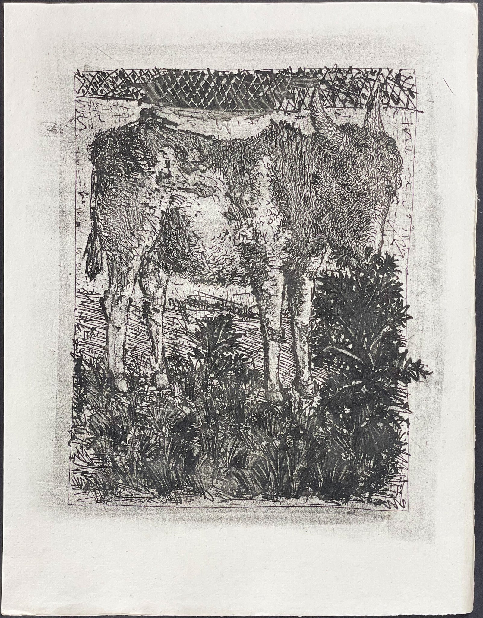 L'Ane (The Donkey)