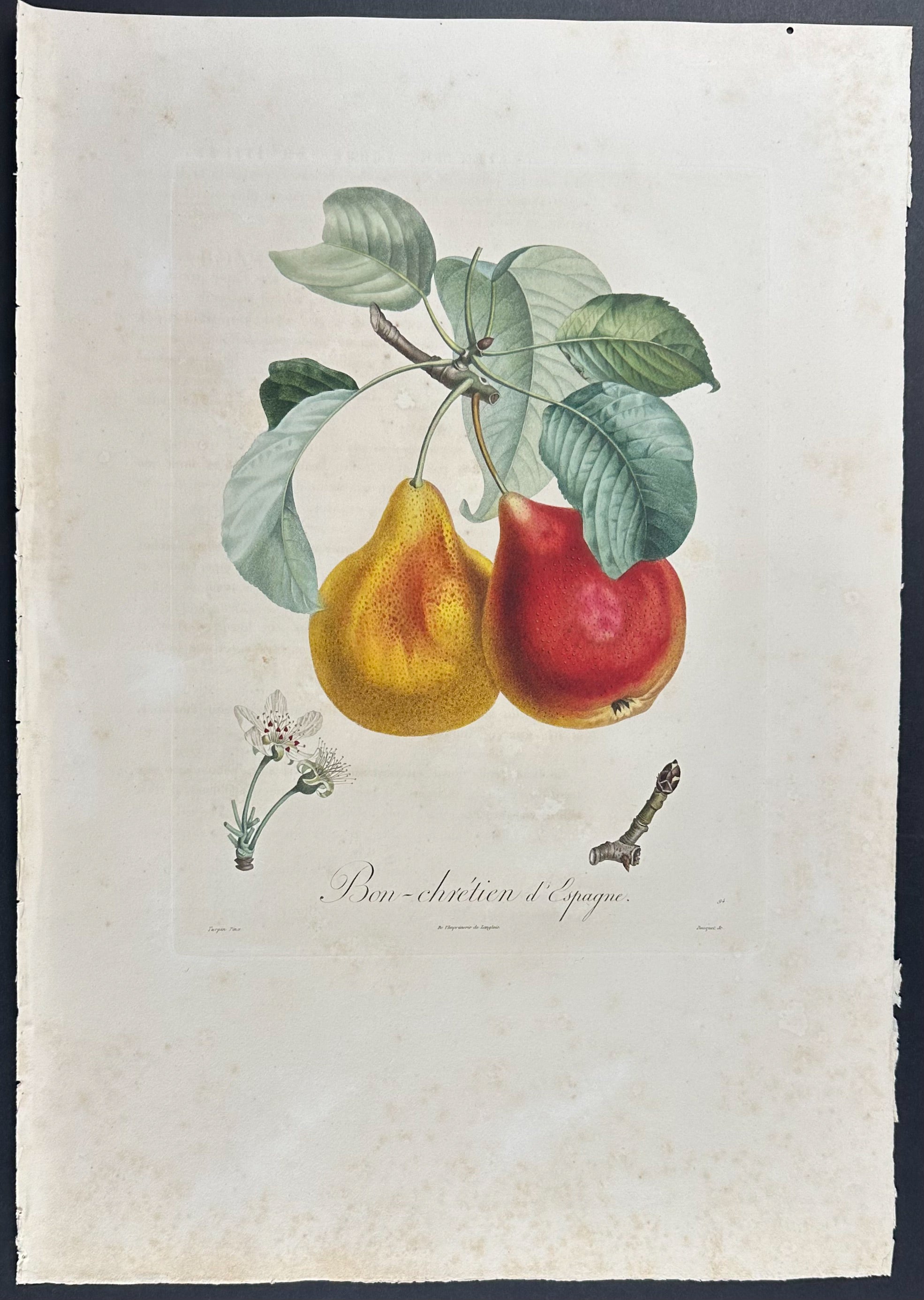 Pear