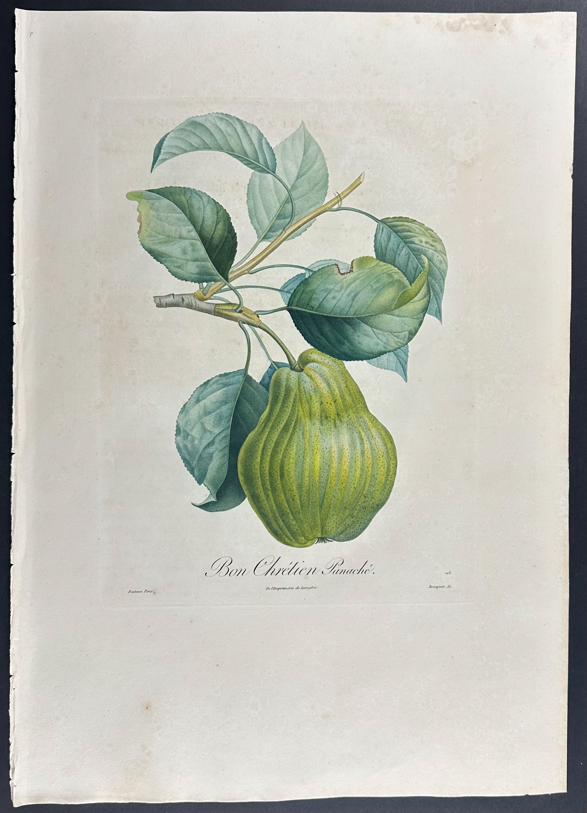 Pear