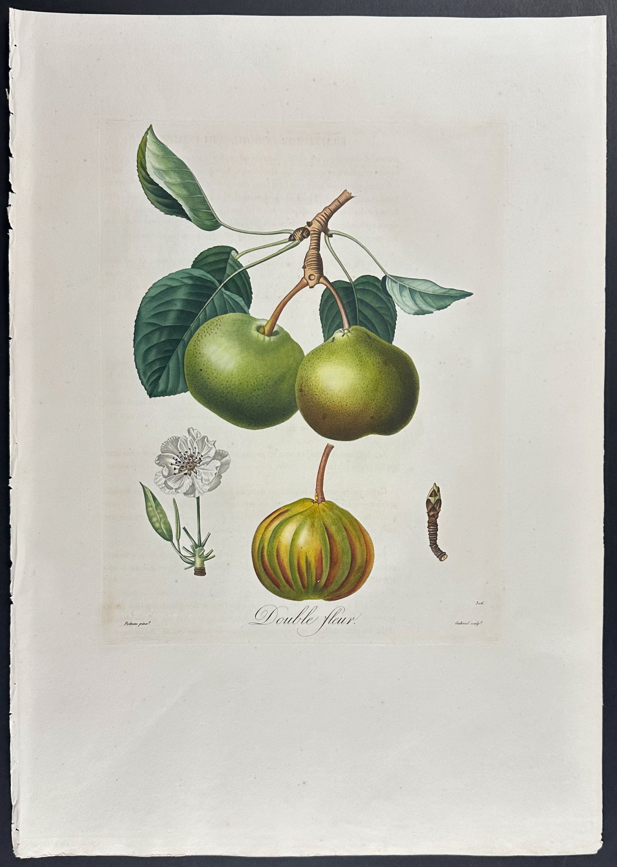 Pear