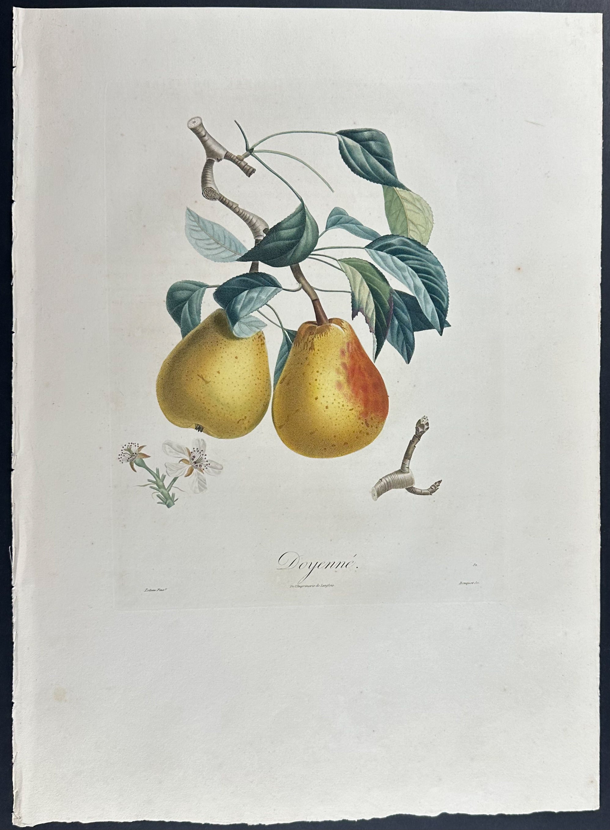 Pear