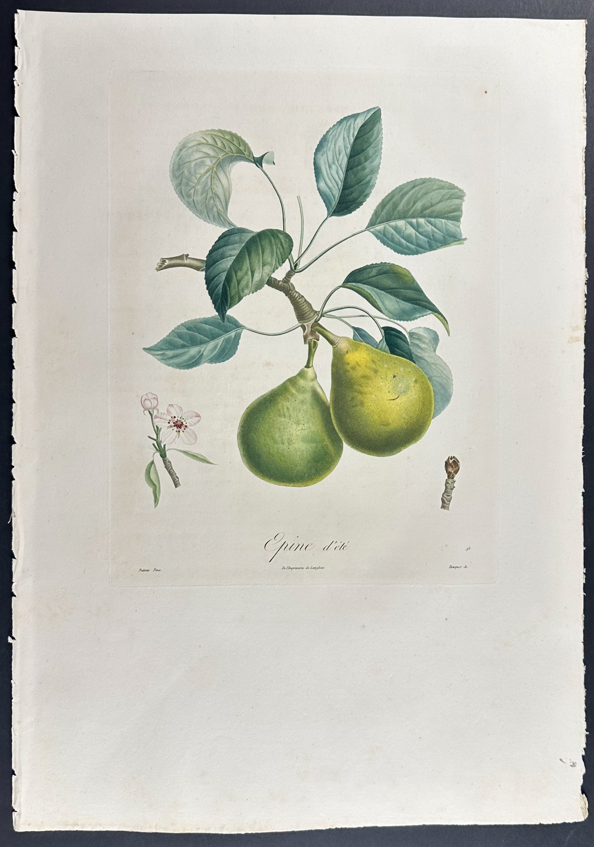 Pear