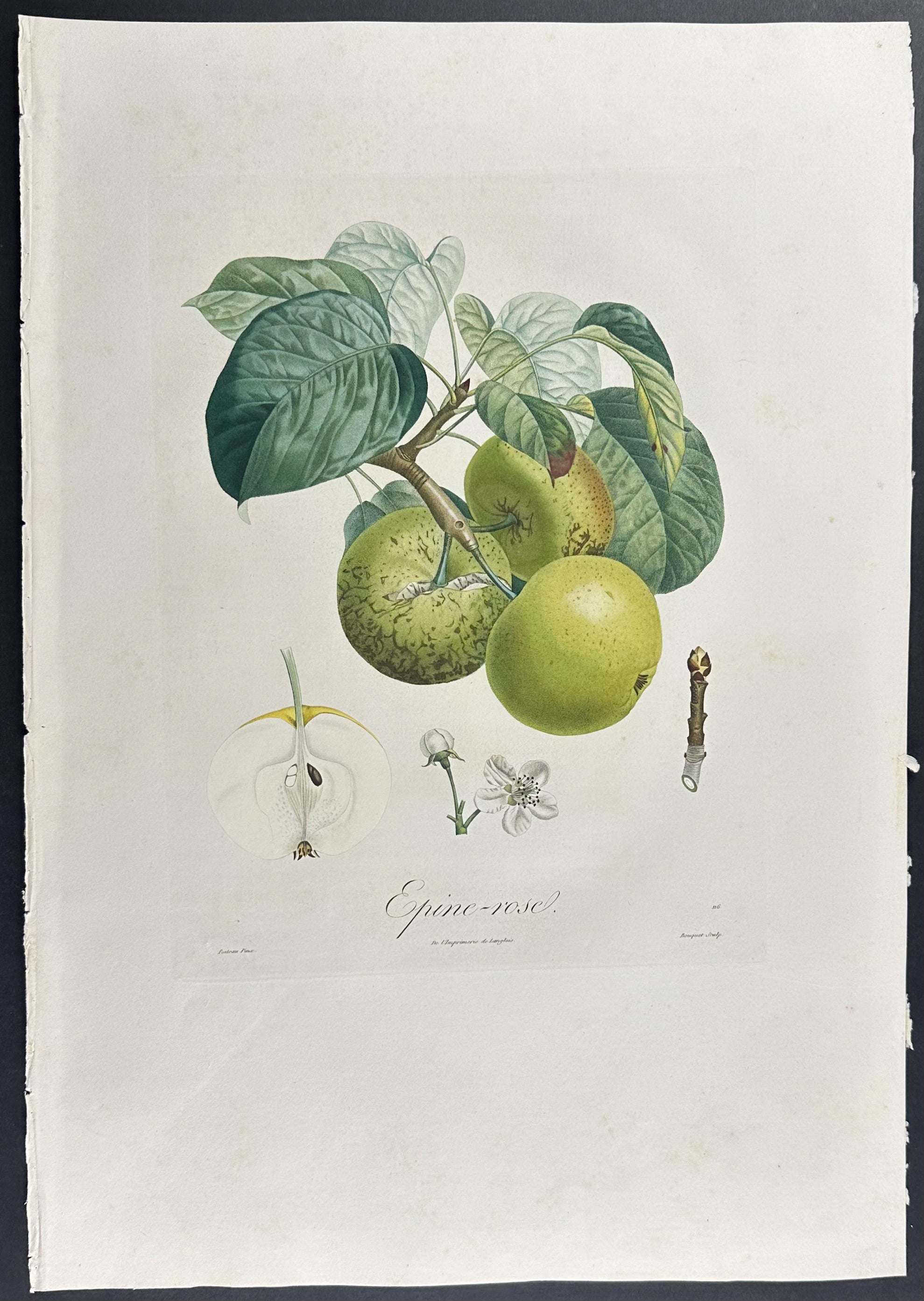 Pear