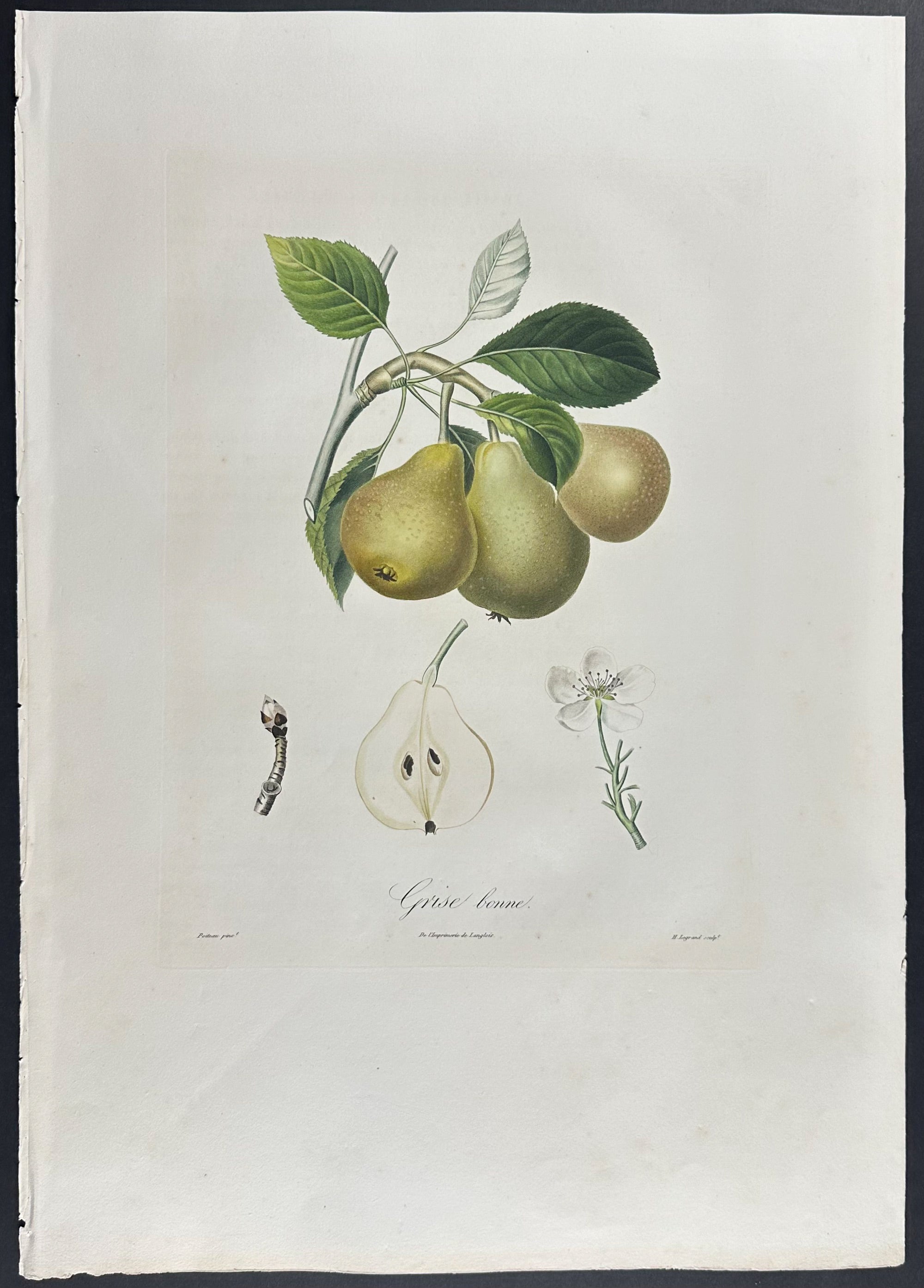 Pear