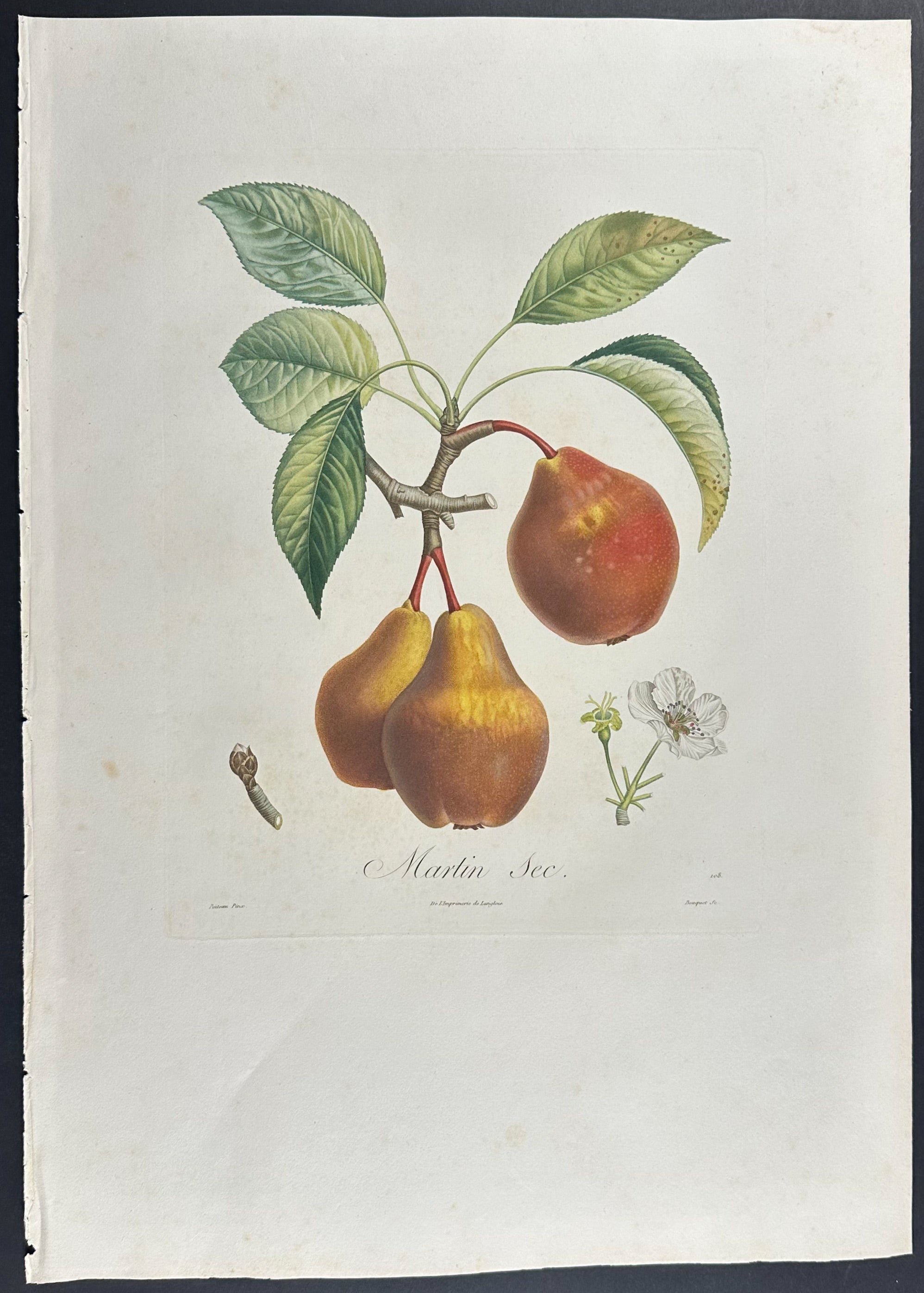 Pear