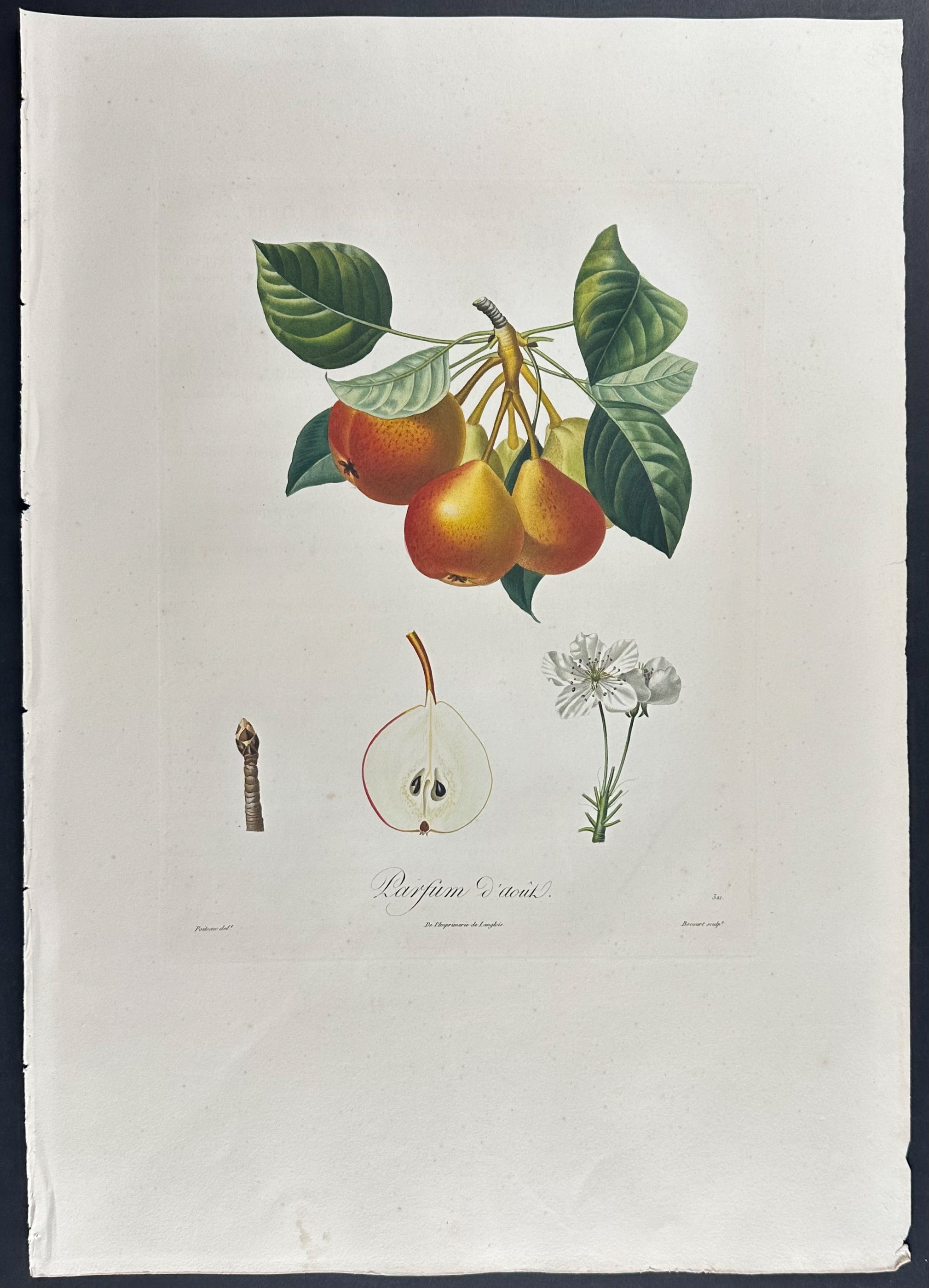Pear