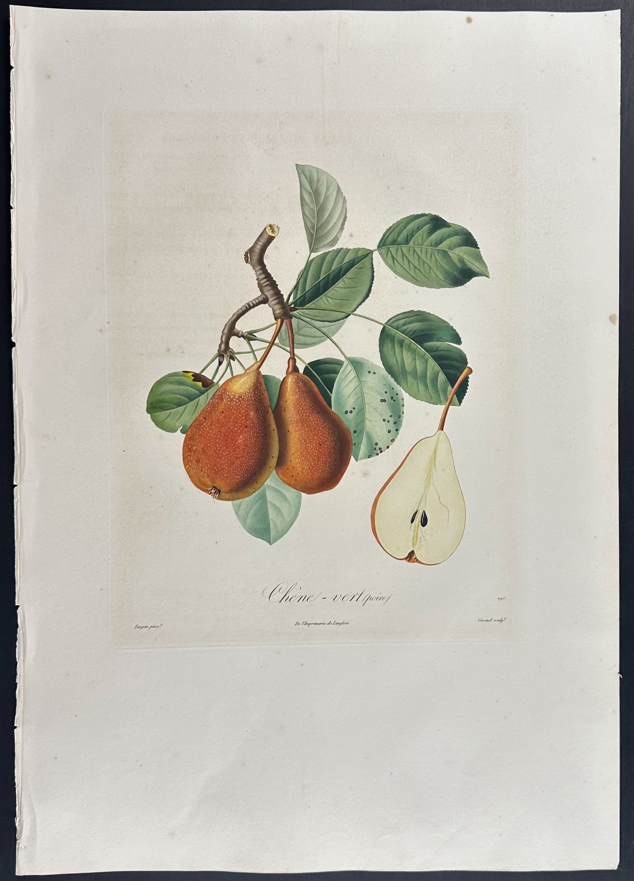 Pear