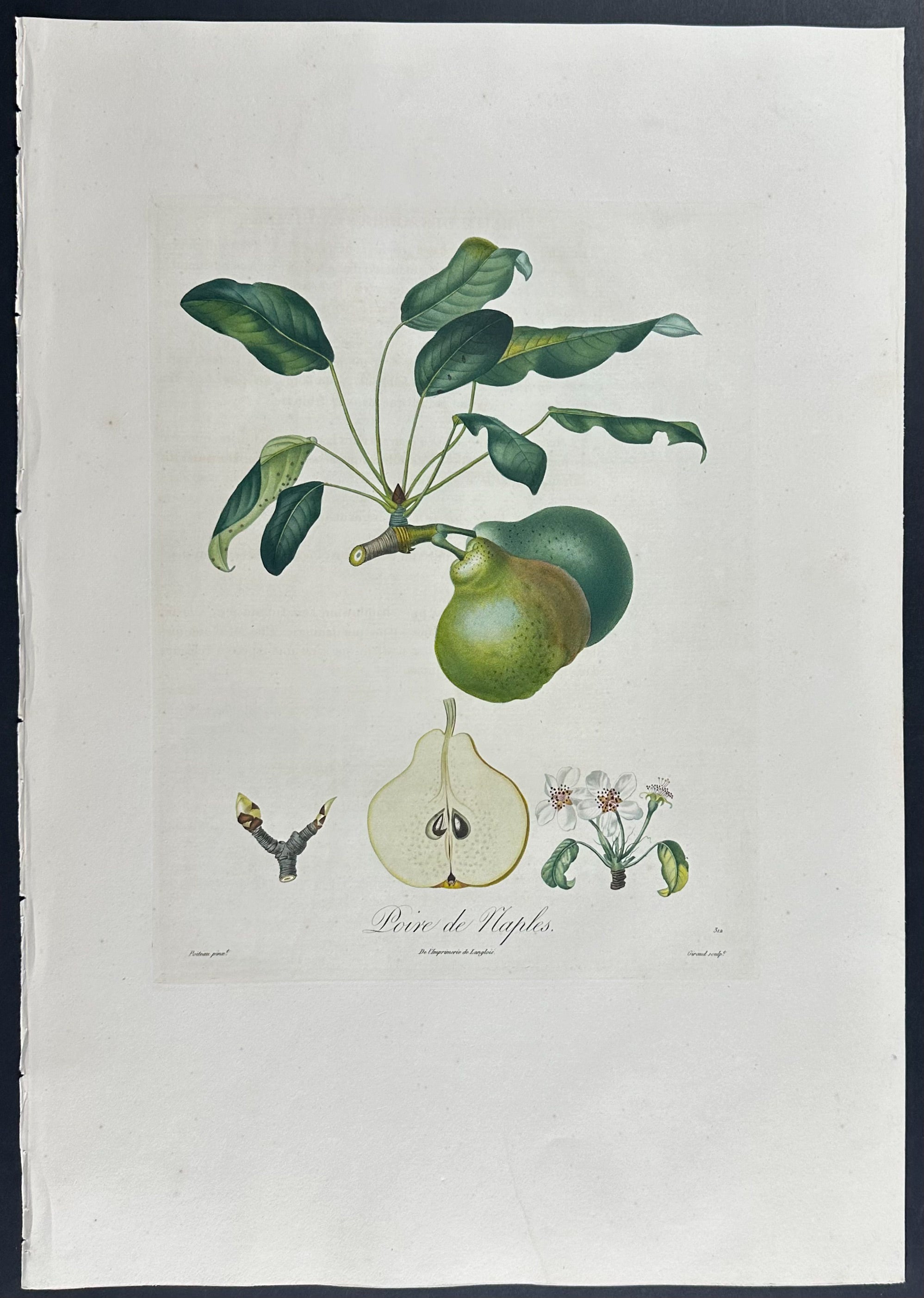 Pear