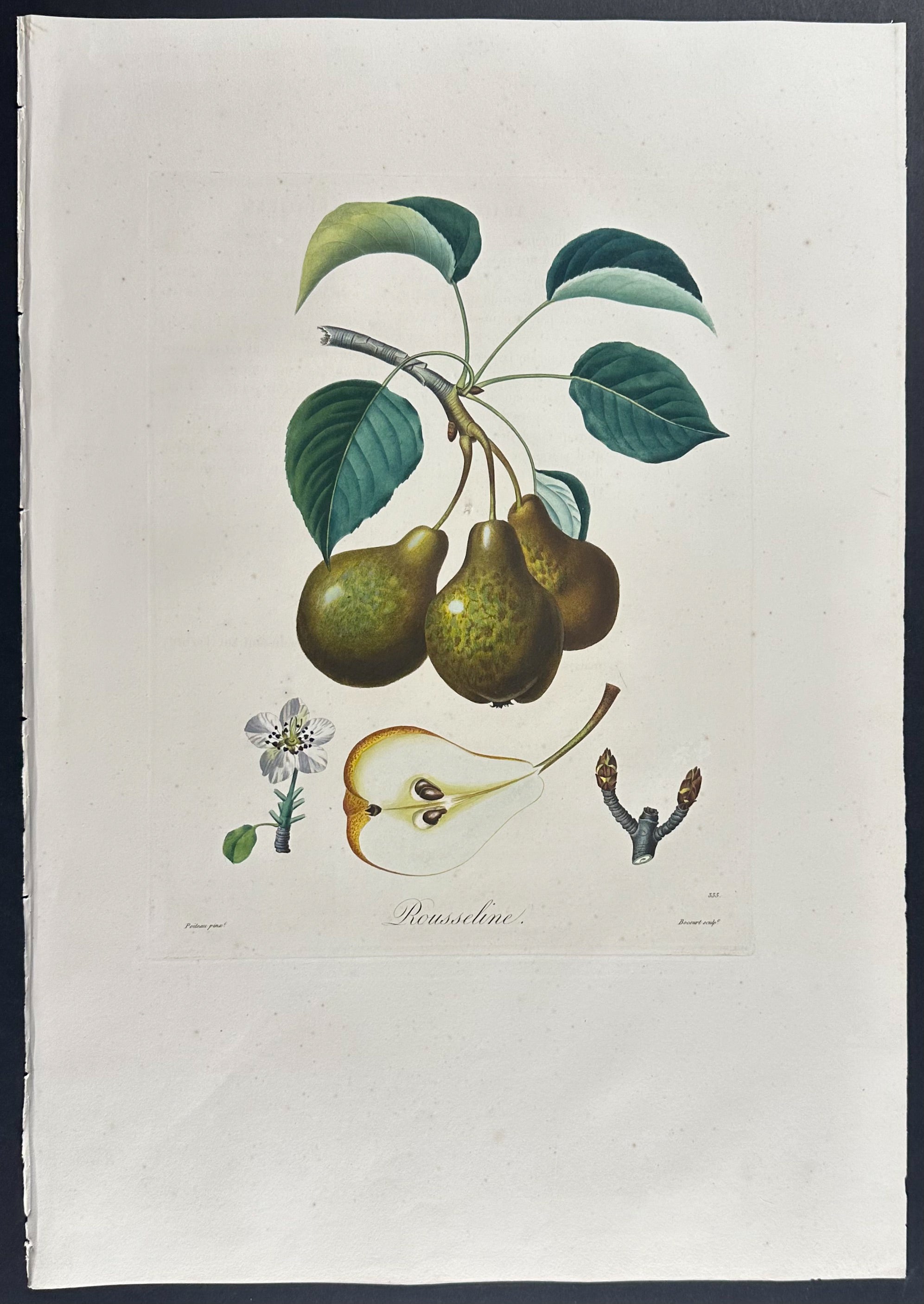 Pear