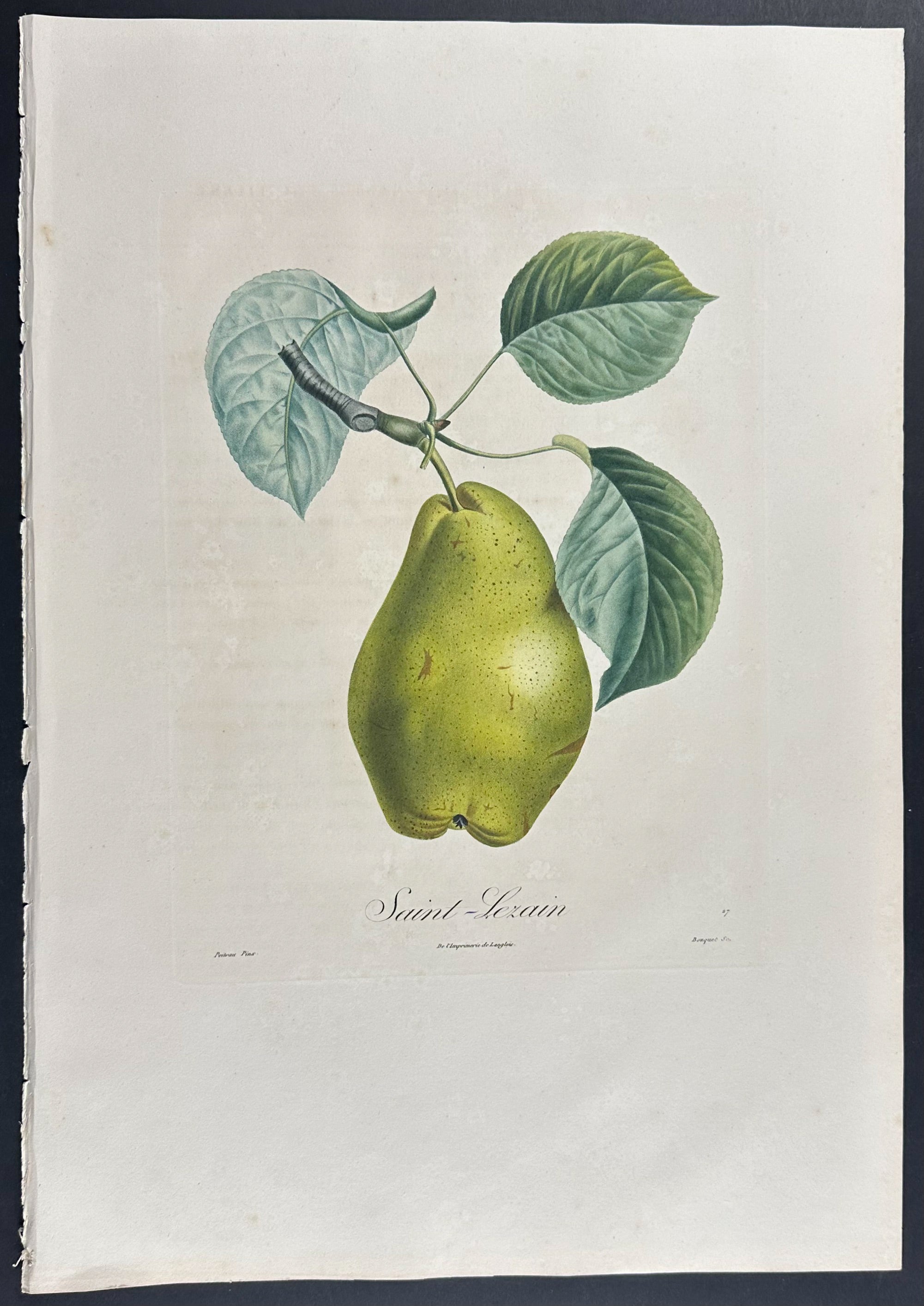 Pear