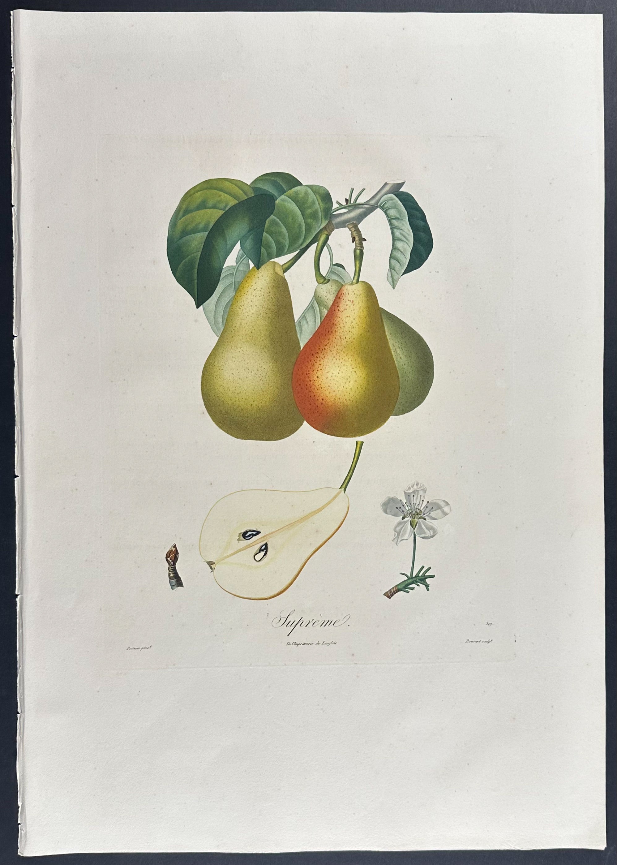 Pear