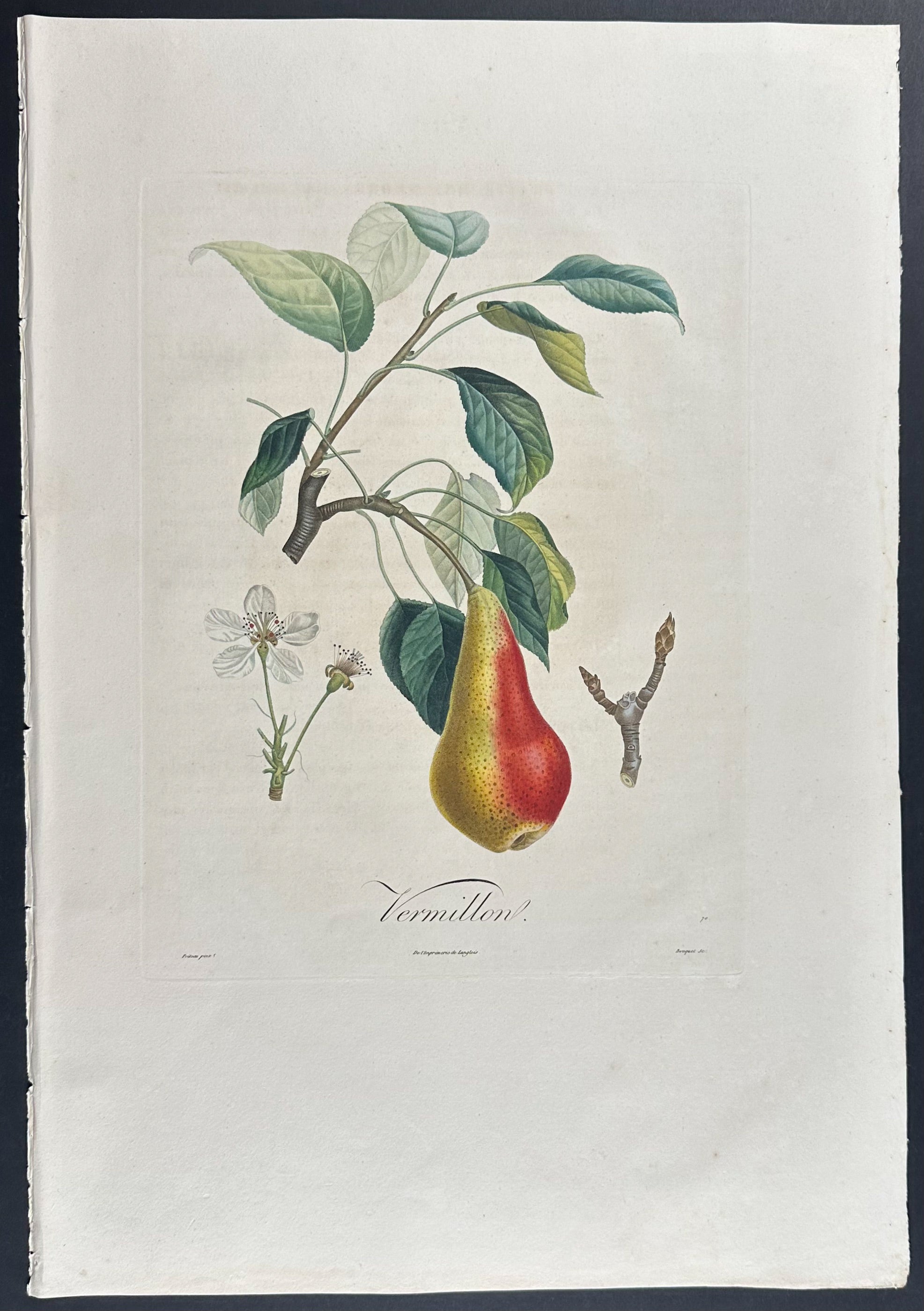 Pear