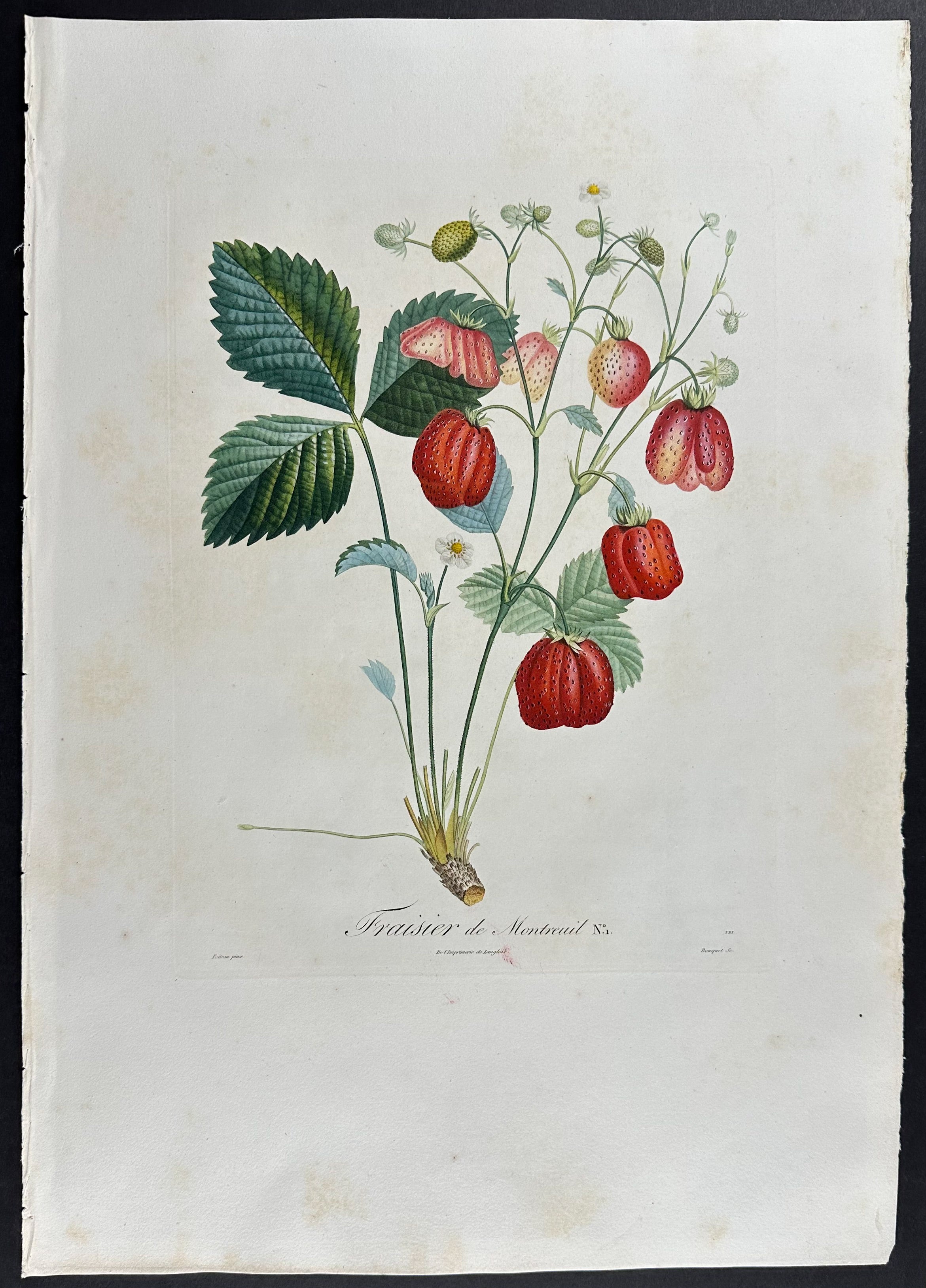 Strawberry