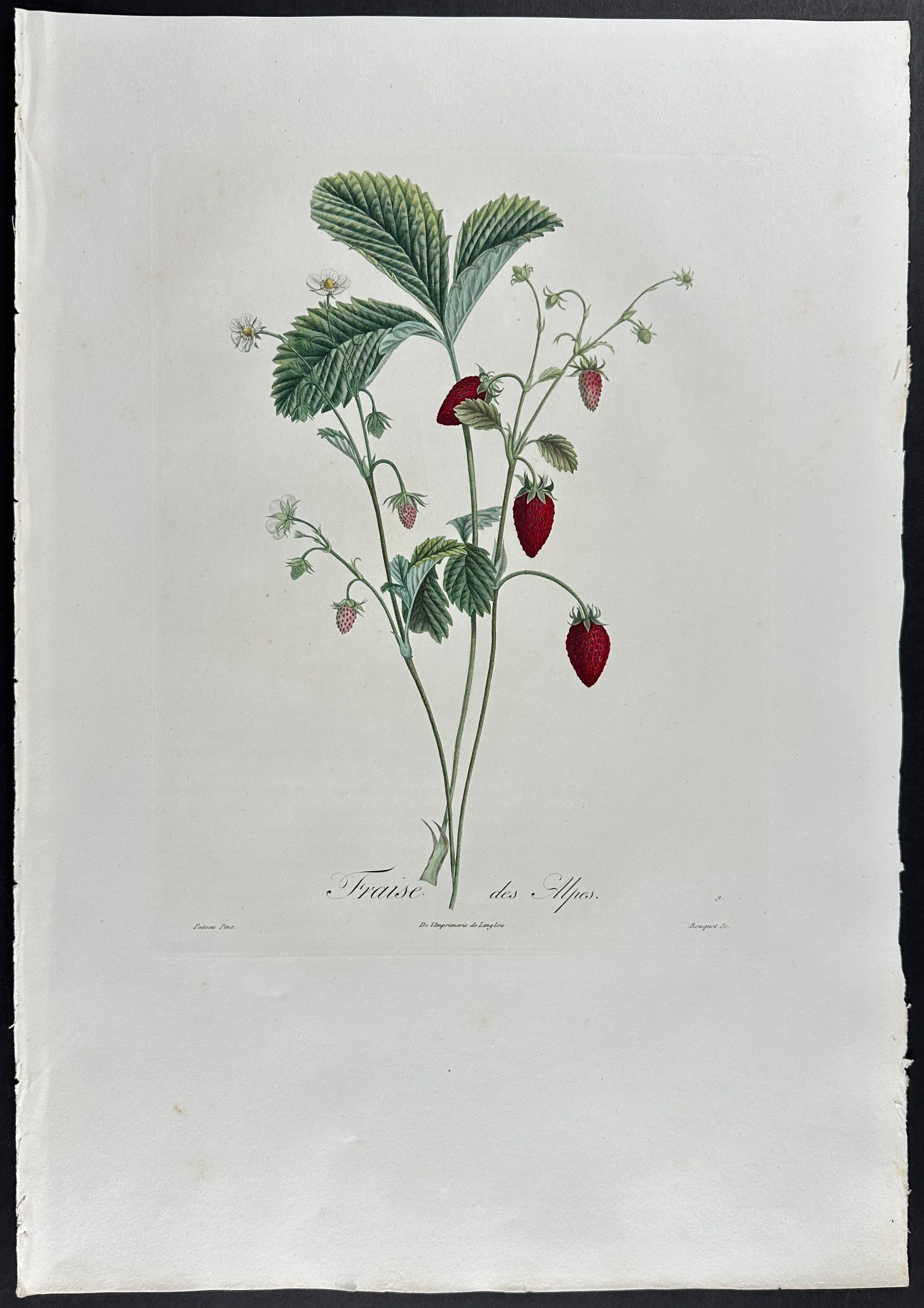Strawberry