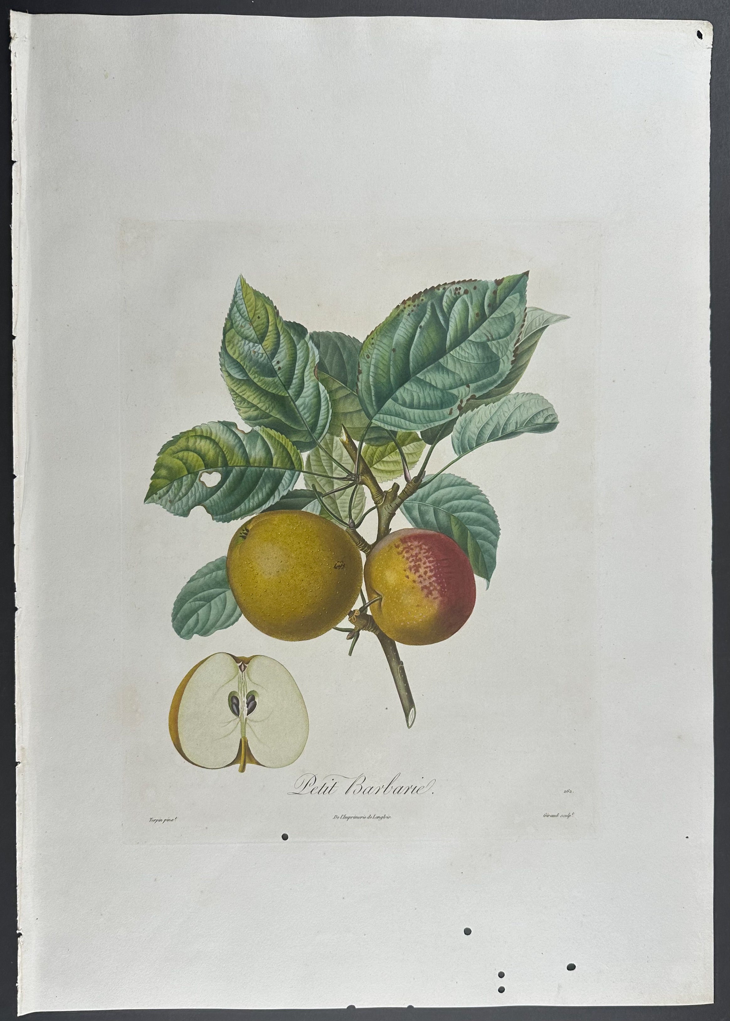 Apple