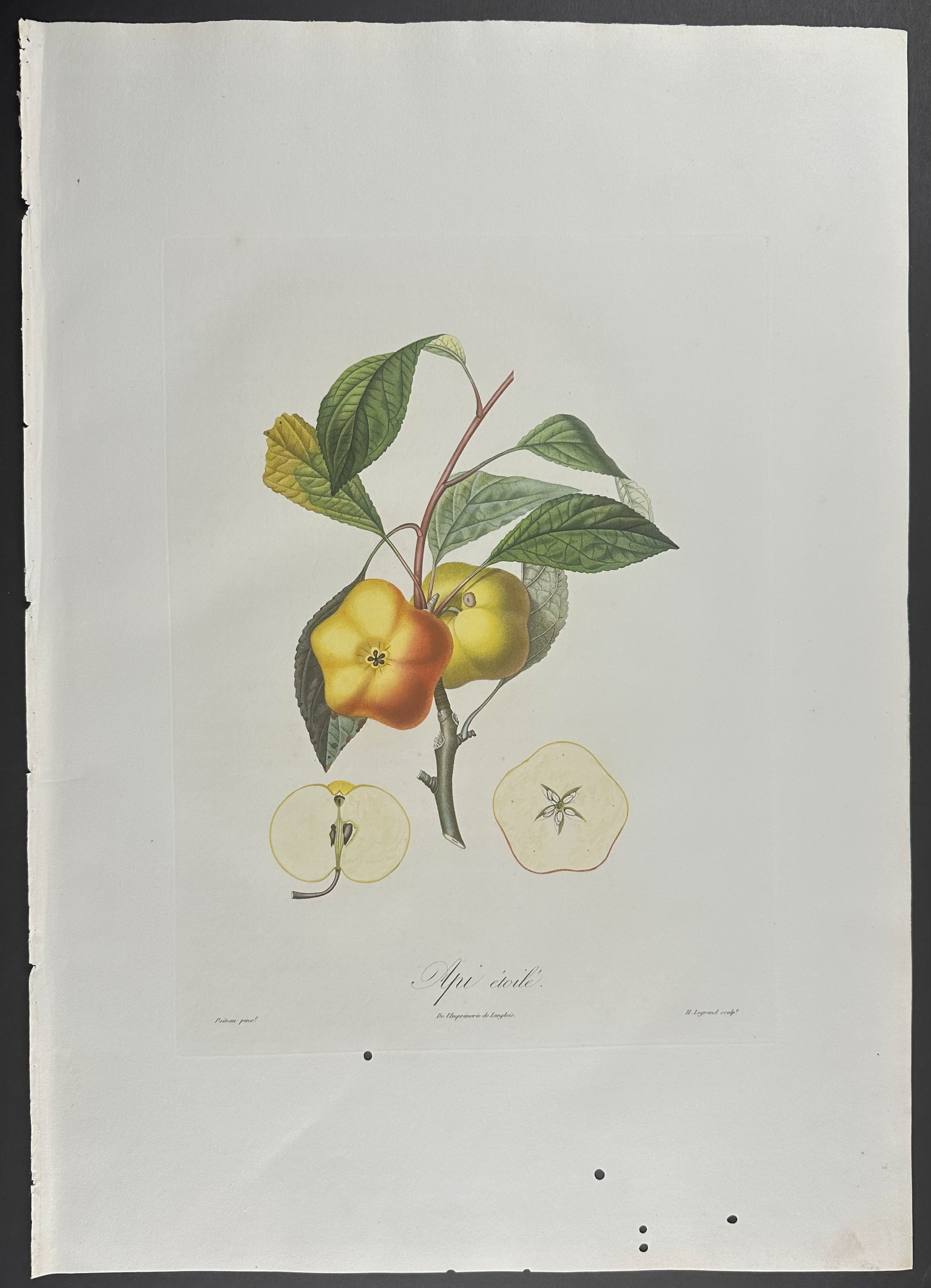 Apple