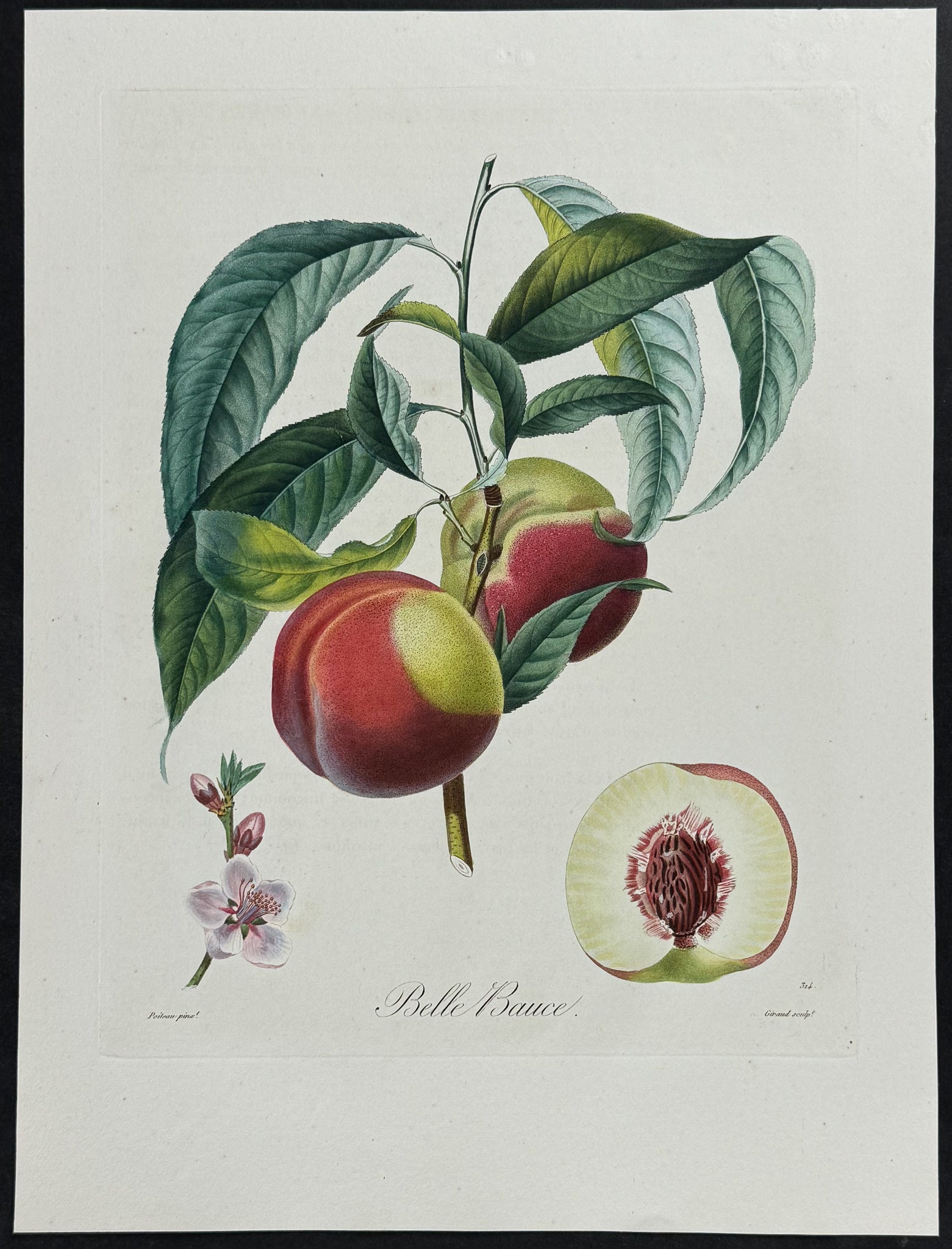 Peach