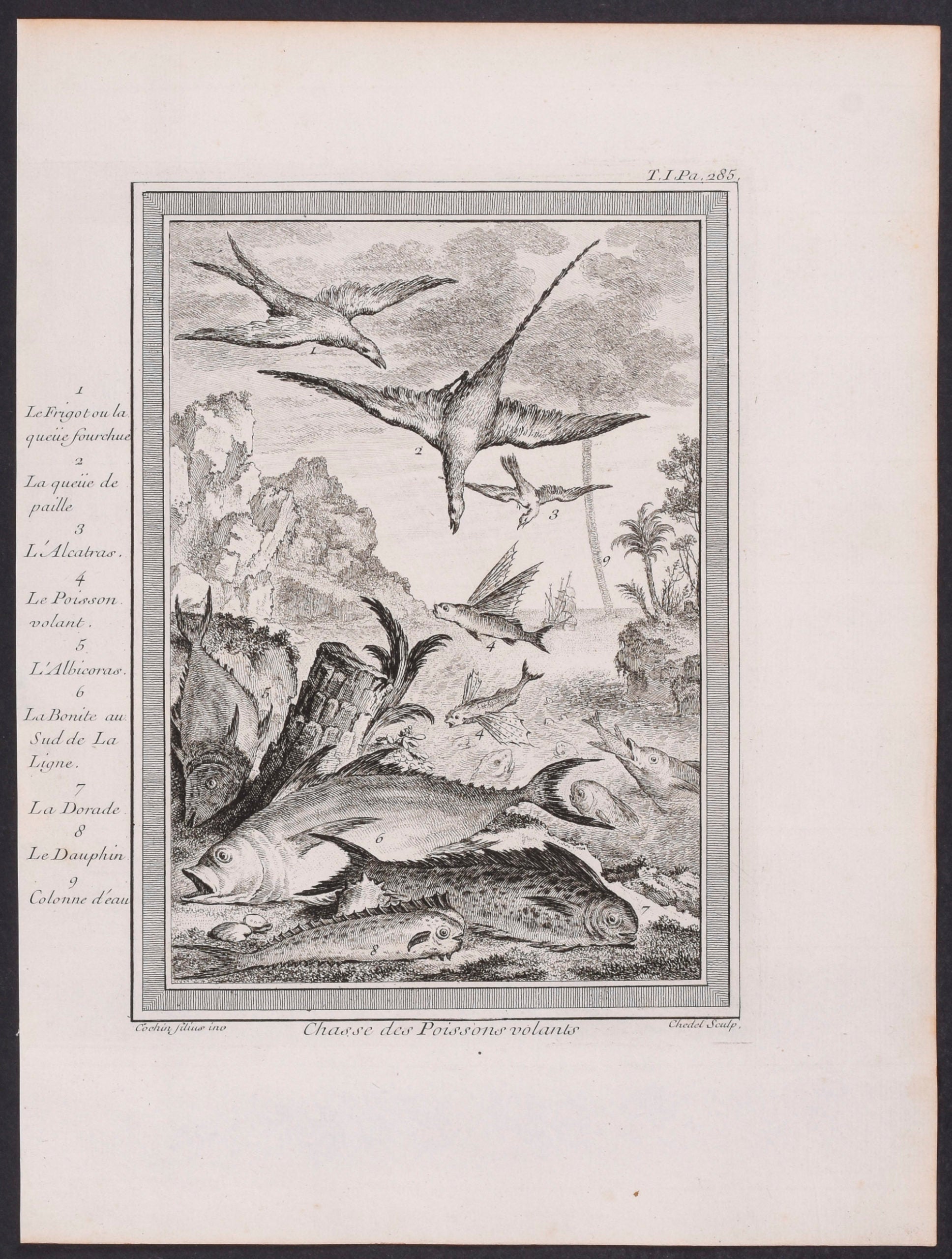 Birds & Fish, Ship & Water Funnel
