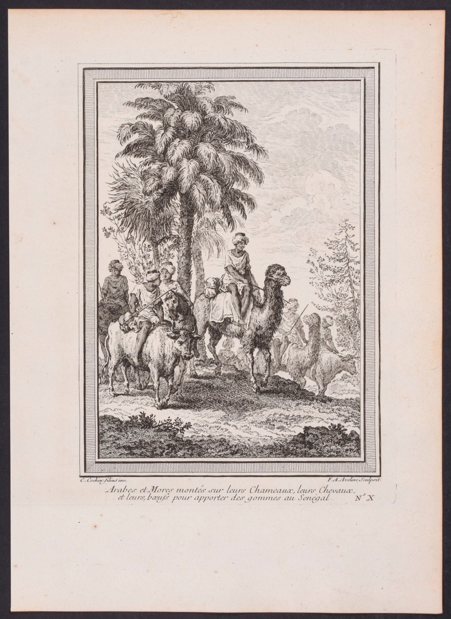 Arabs on Camels