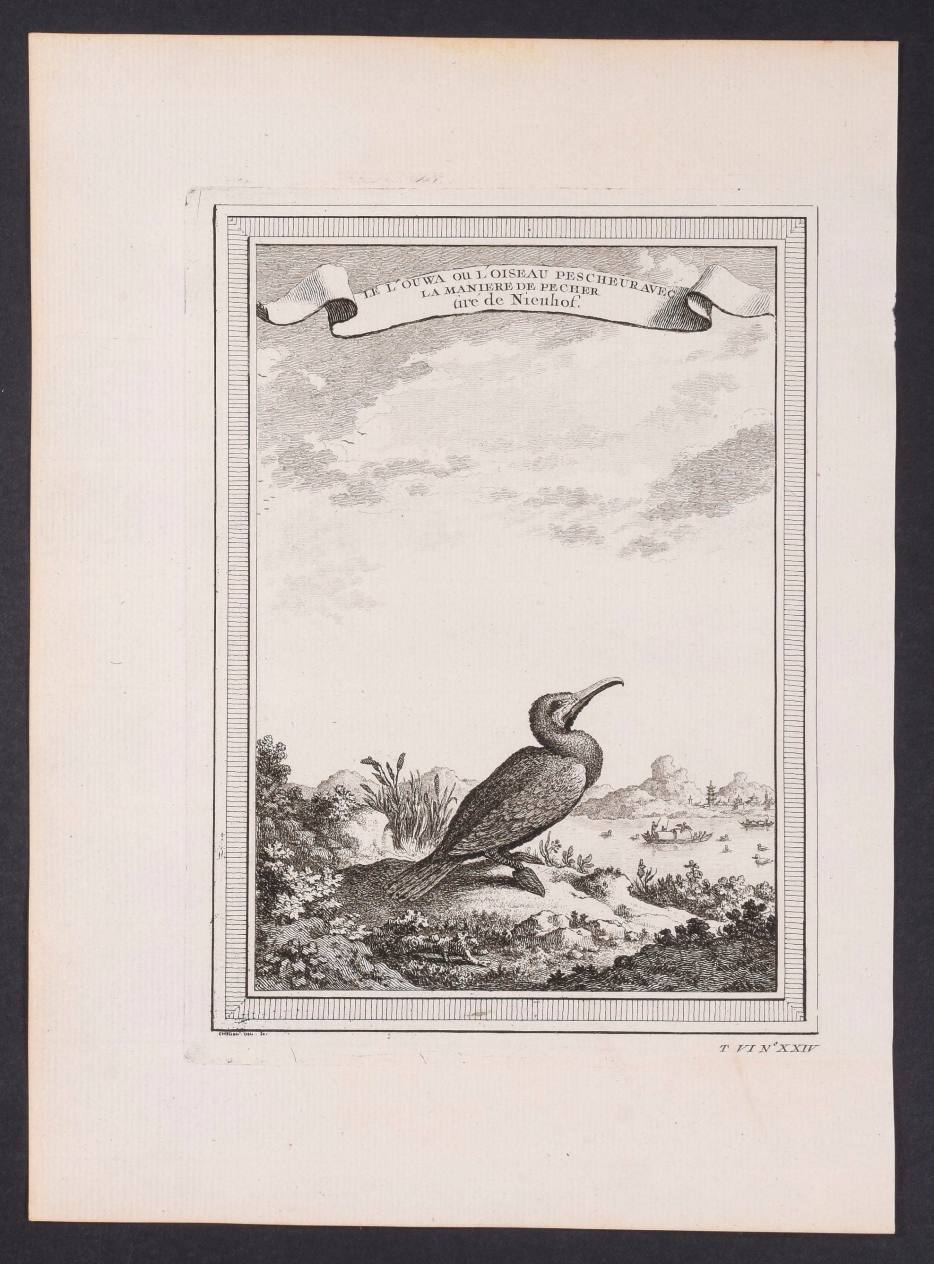The Ouwa or the Fishing Bird with the Way of Fishing, drawn from Nieuhof