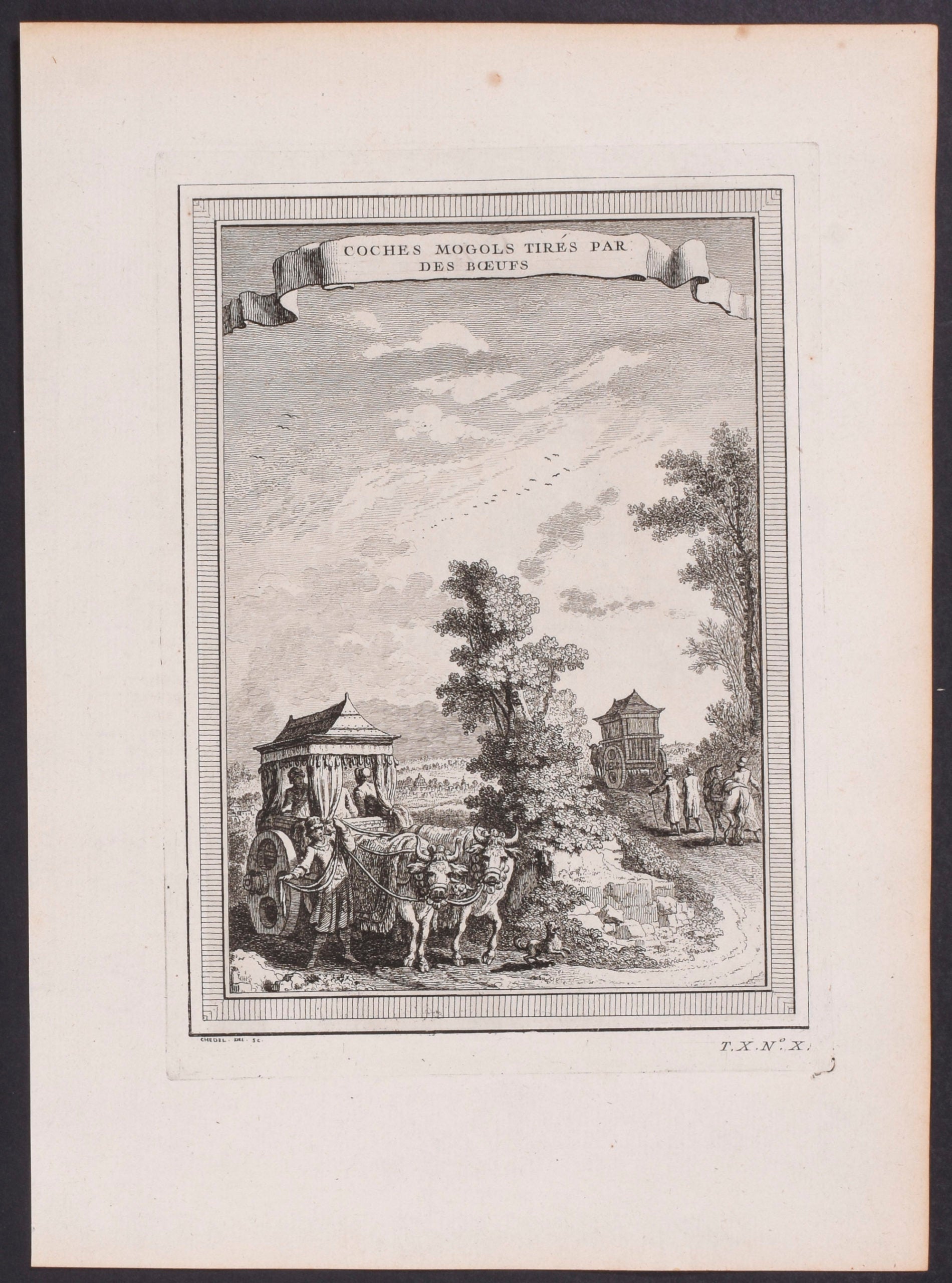 Mogul Coaches drawn by Oxen