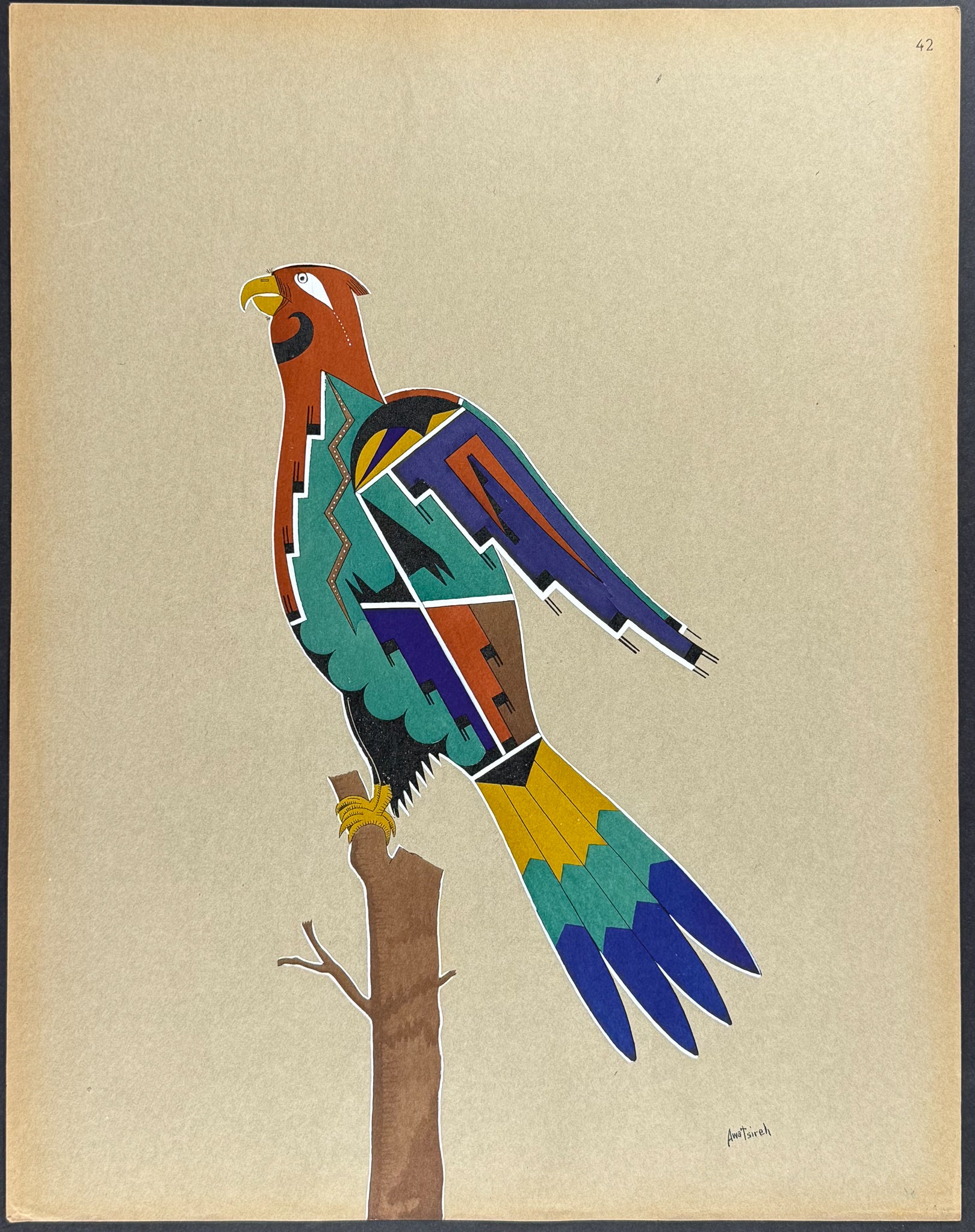 Hawk - drawn by Awa Tsireh