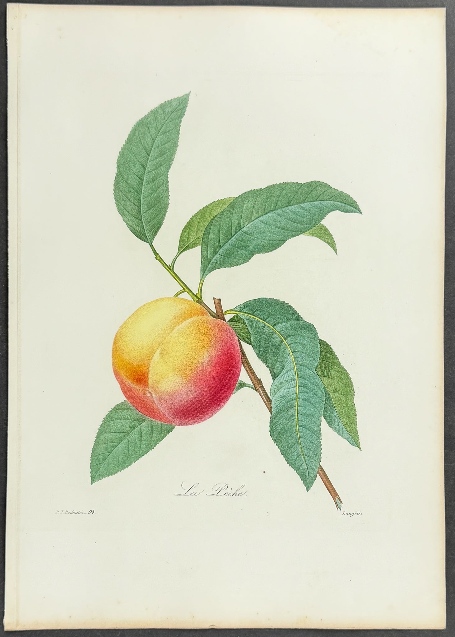 Peach