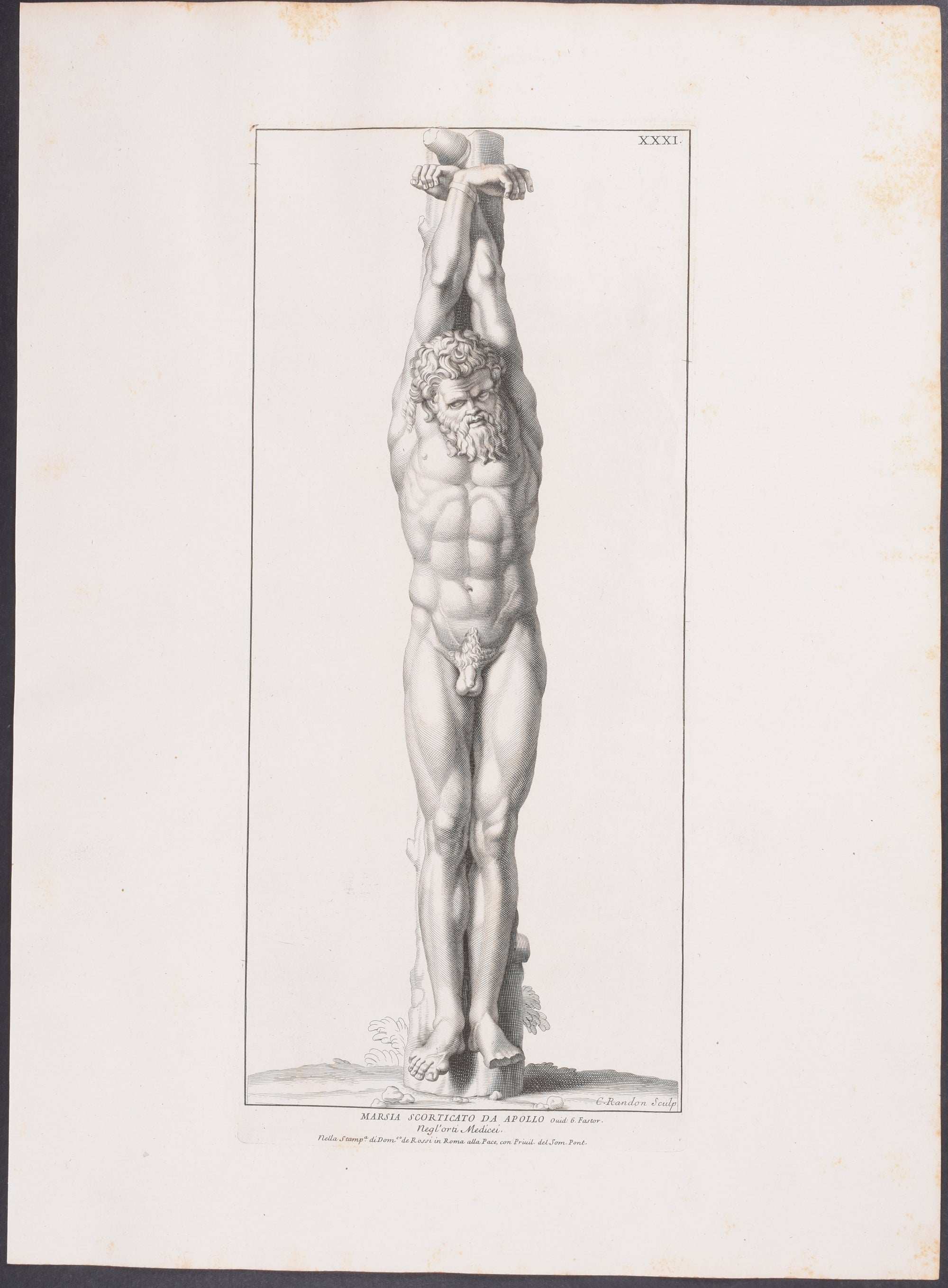 Statue - M. Aurelo Antonino