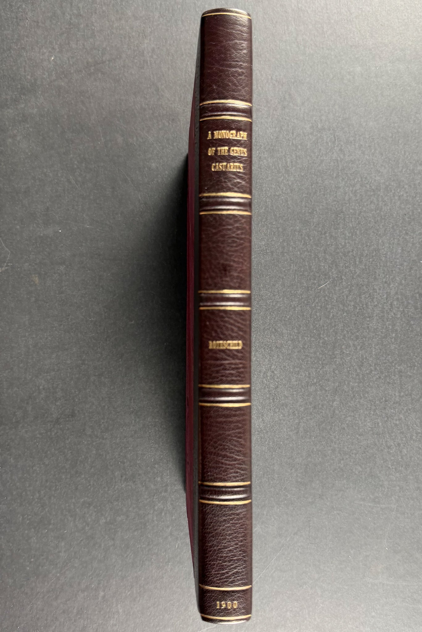A Monograph of the Genus Casuarius