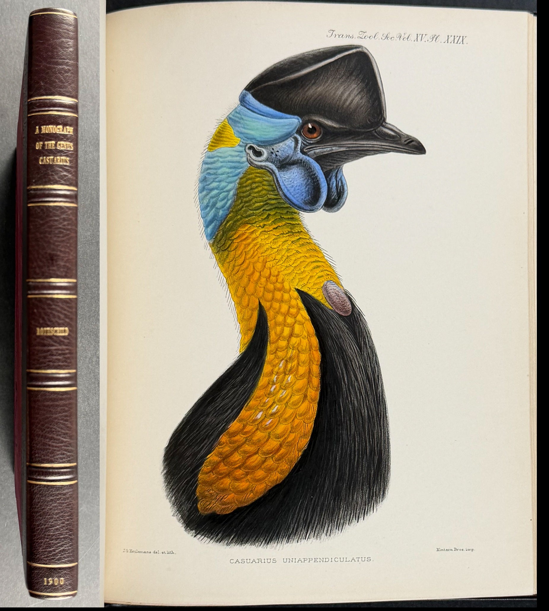 A Monograph of the Genus Casuarius