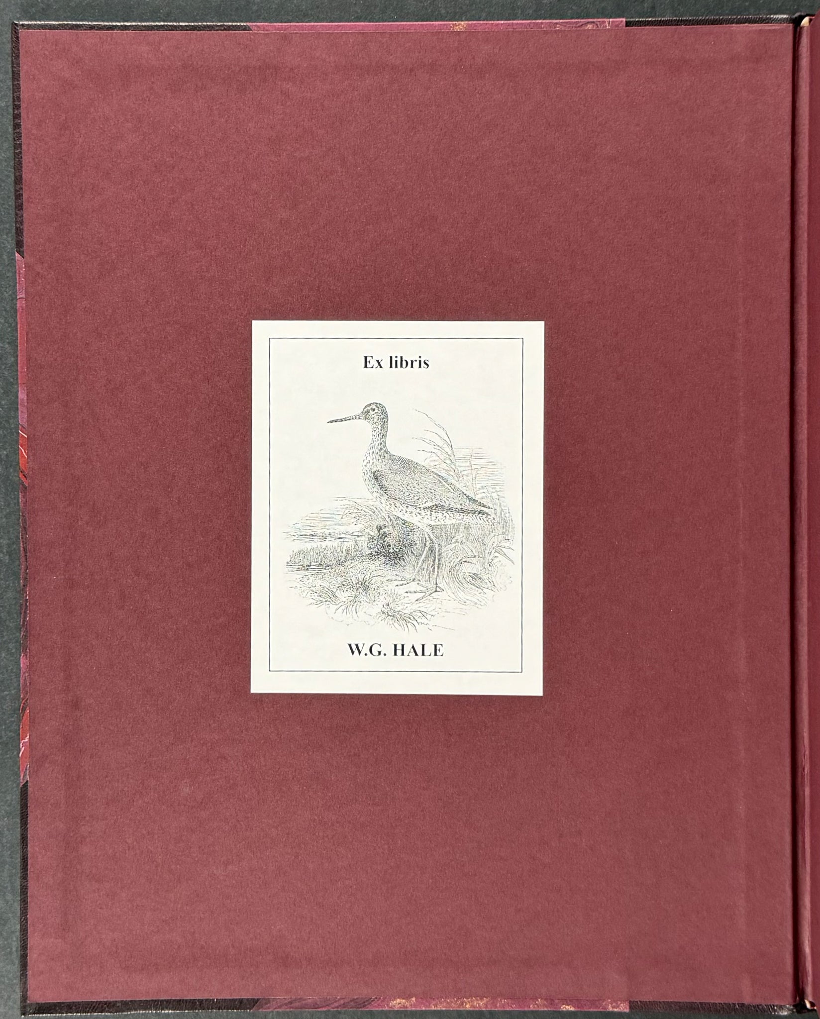 A Monograph of the Genus Casuarius
